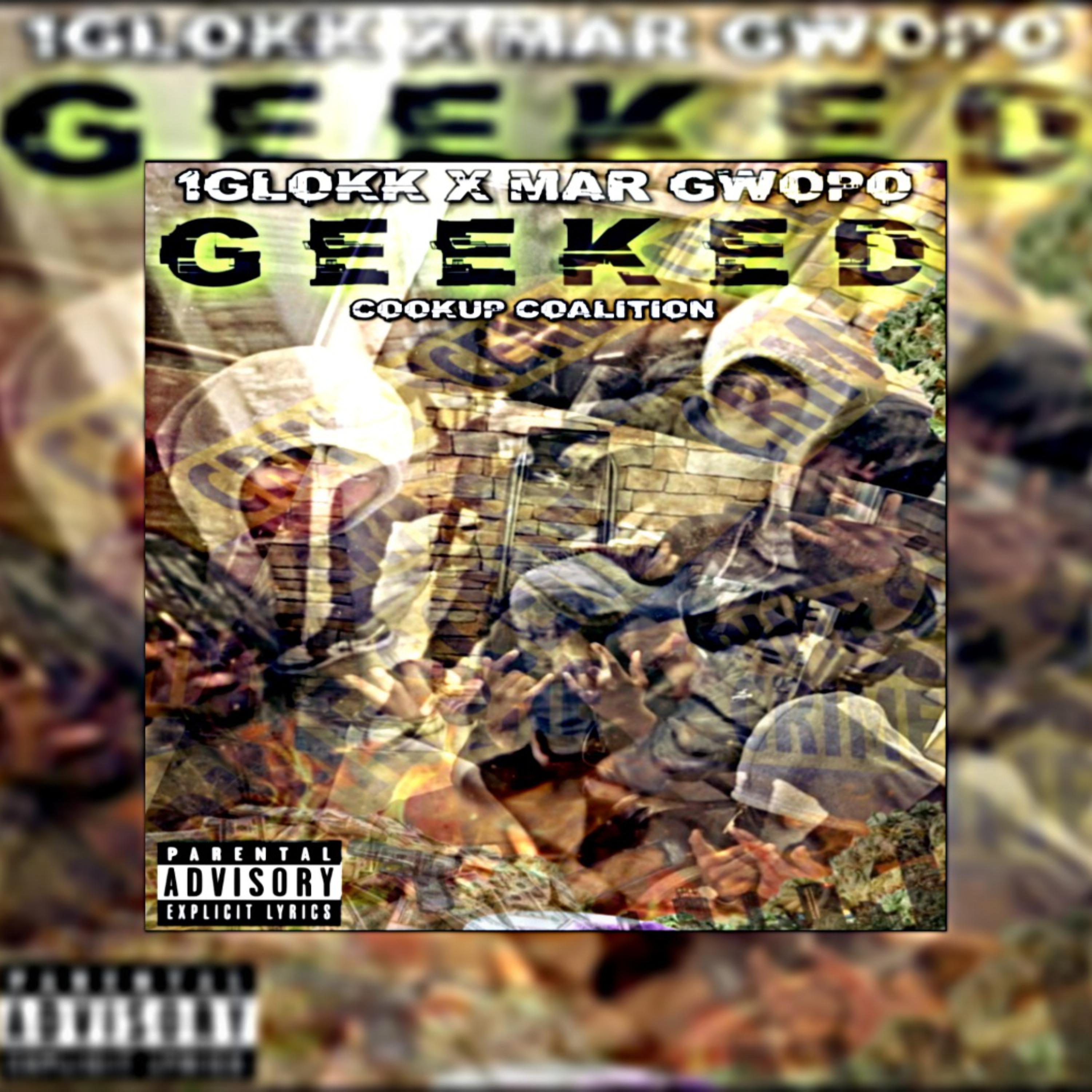 GEEKED artwork