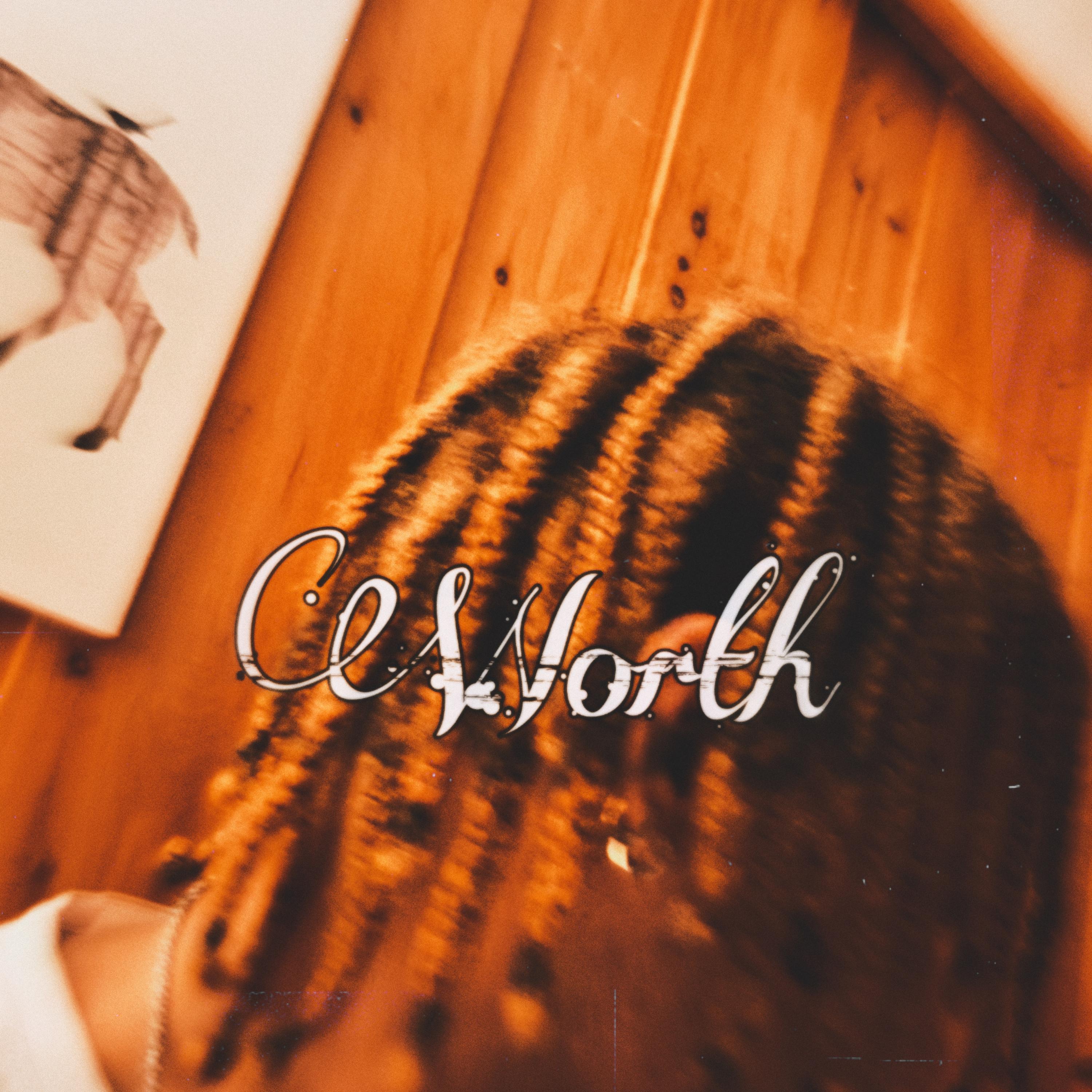 Worth artwork
