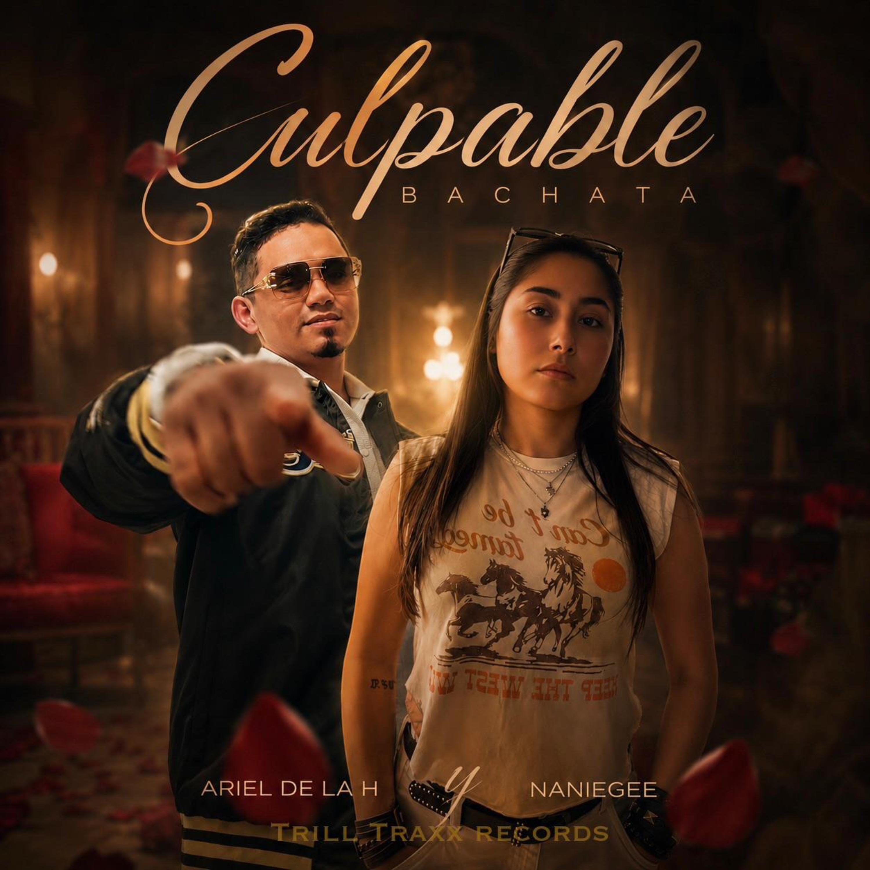 Culpable by Ariel Dela H cover art