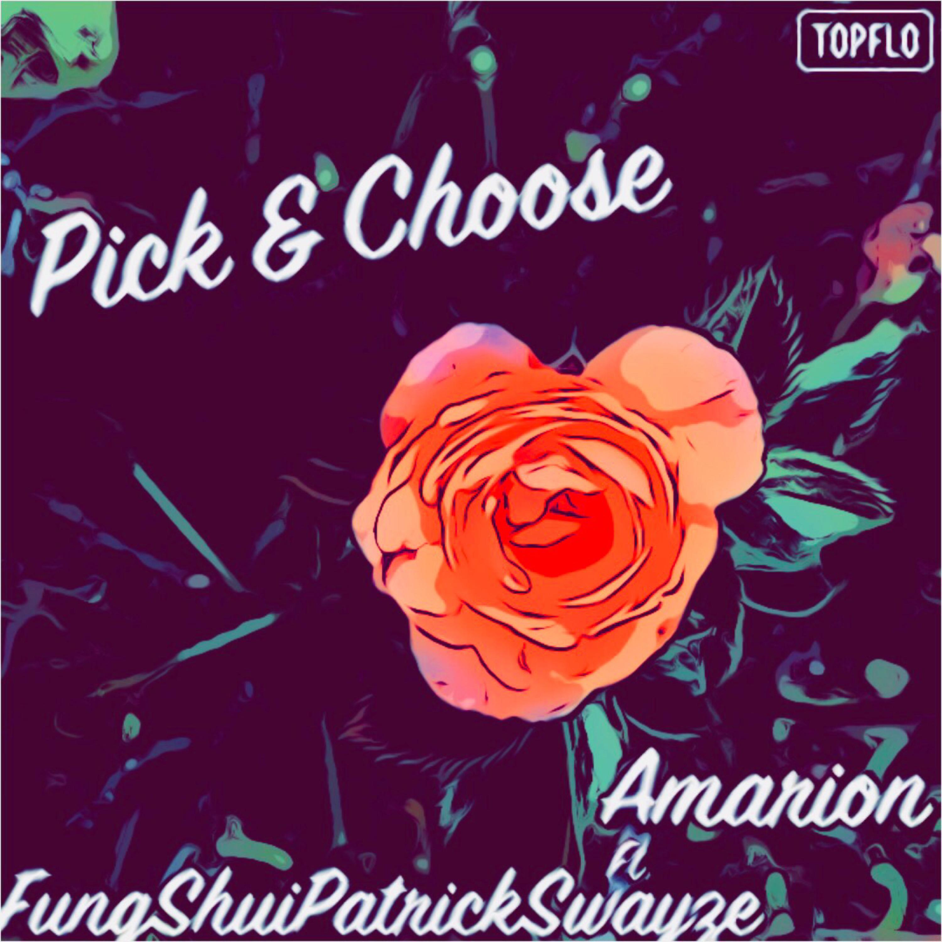 Pick & Choose by FungShuiPratrickSwayze  cover art