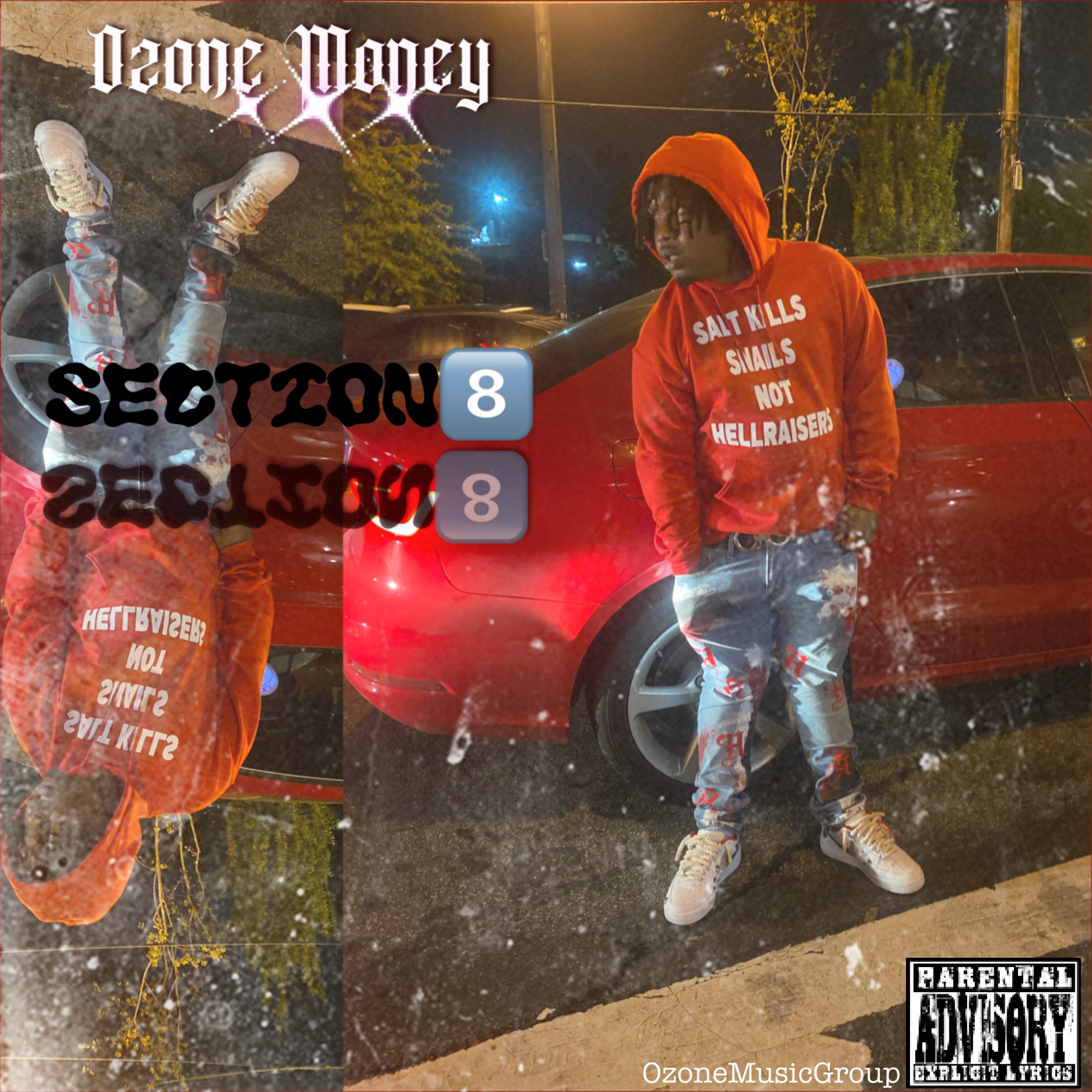 Section Eight artwork
