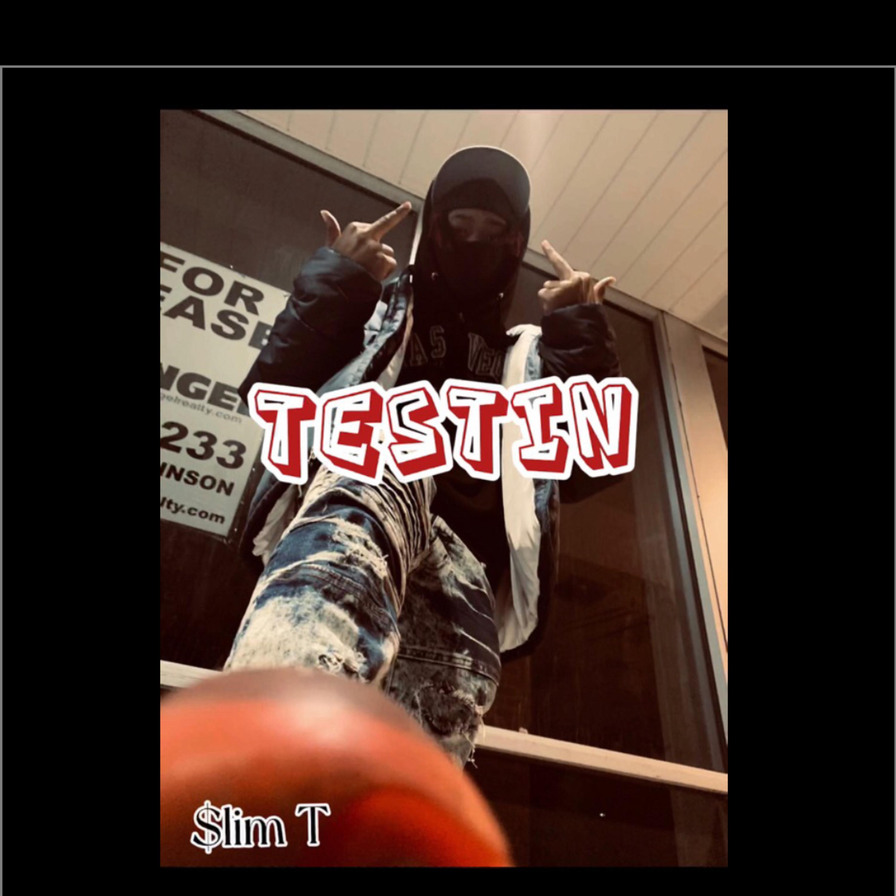 Testin artwork