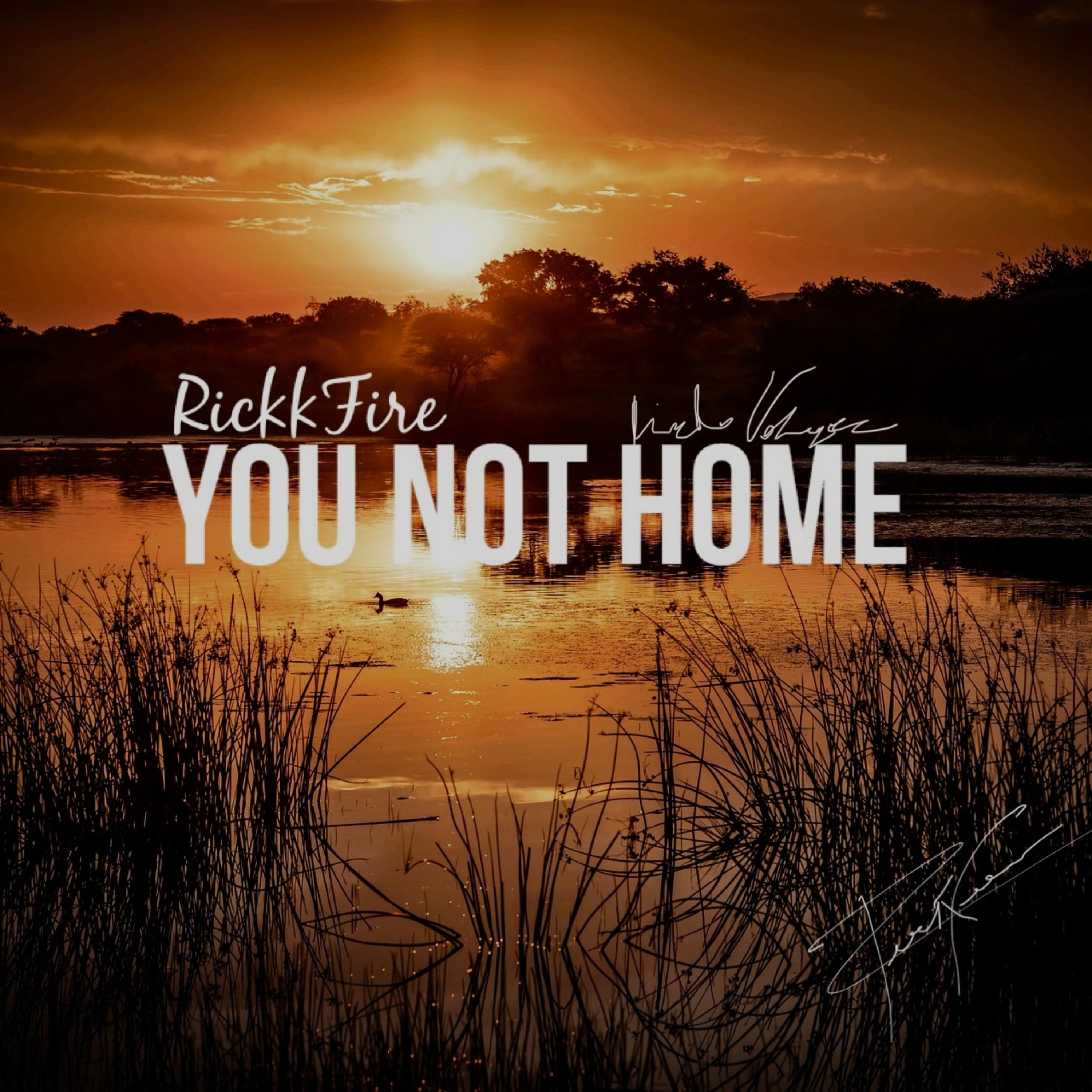 You Not Home artwork