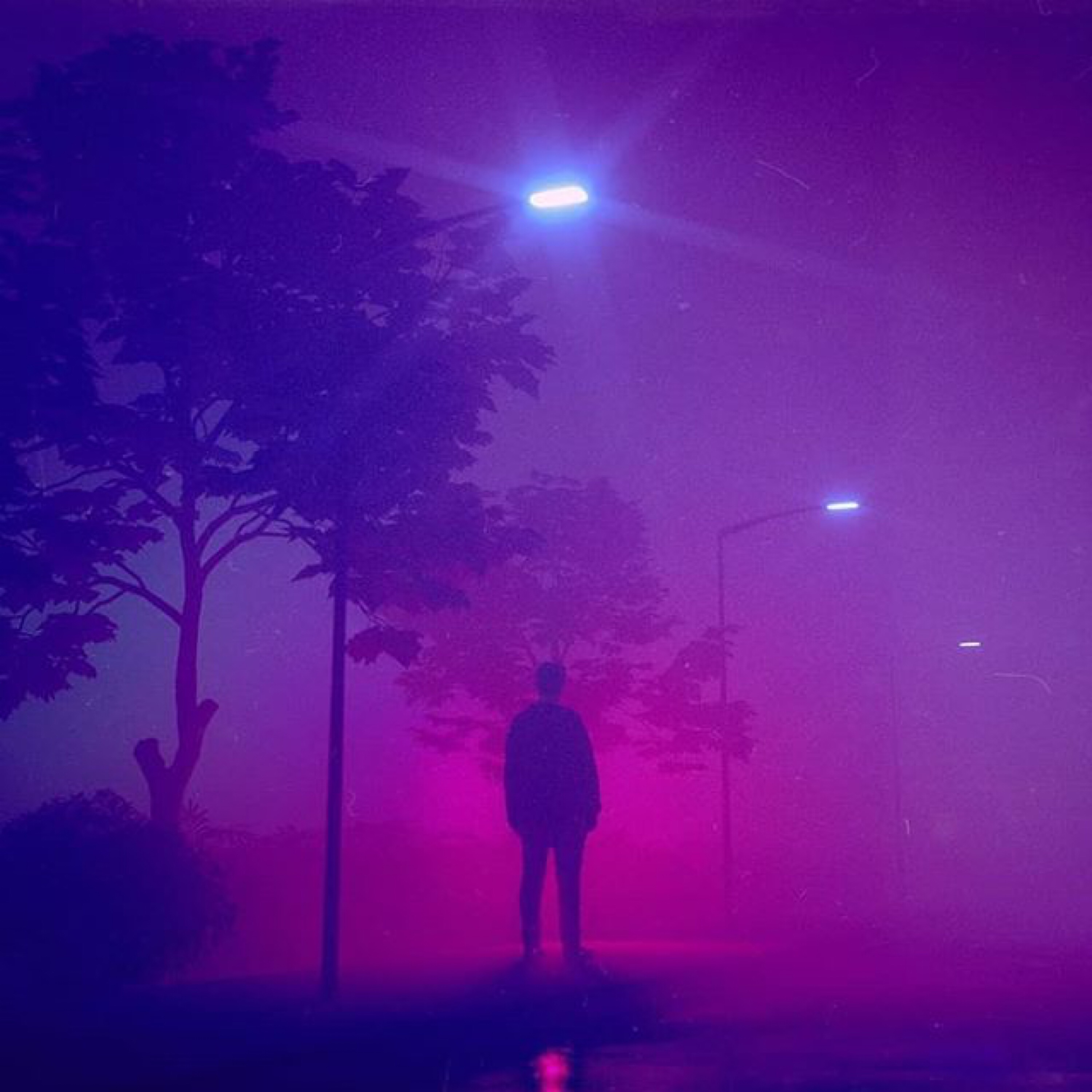 Whispers artwork