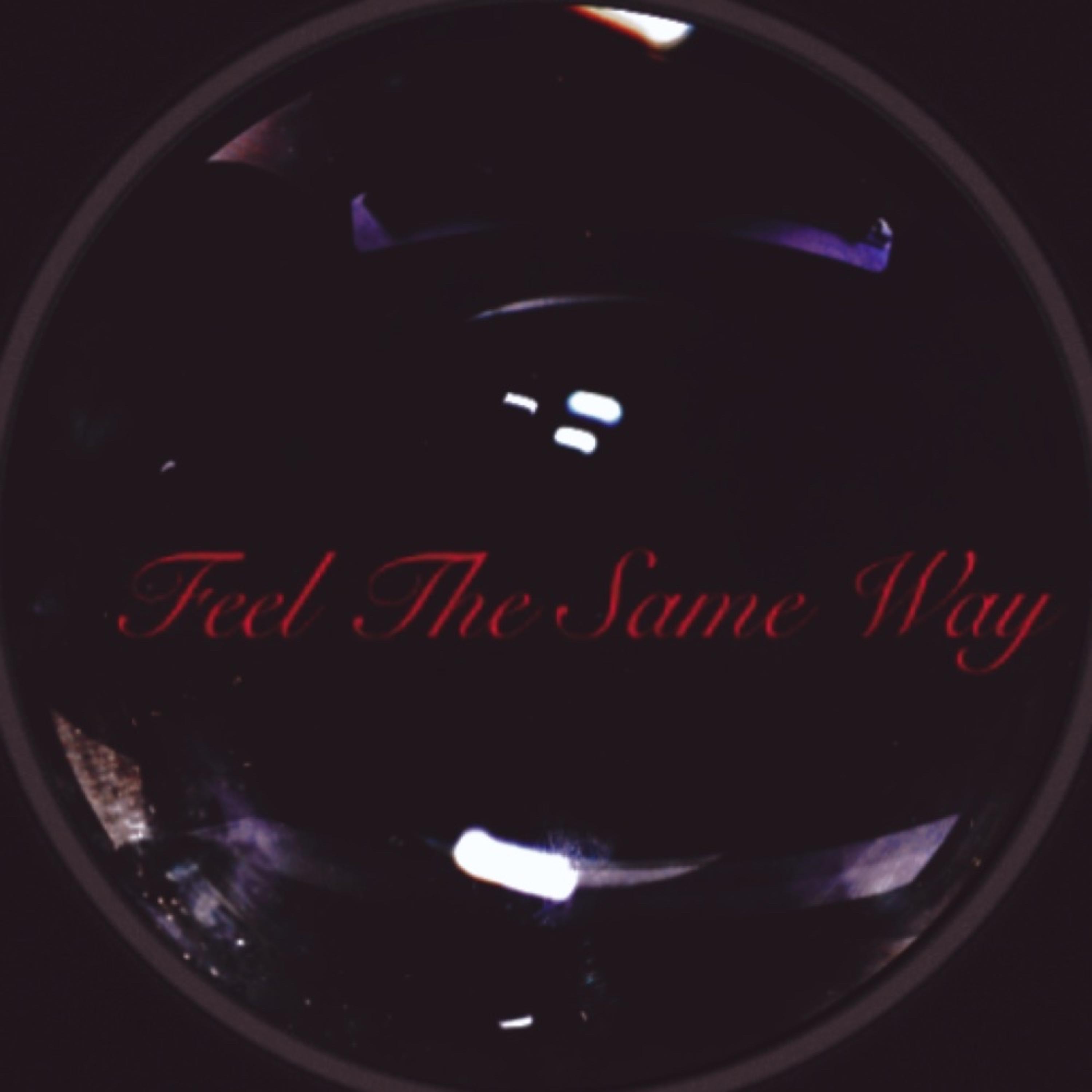 Feel The Same Way artwork