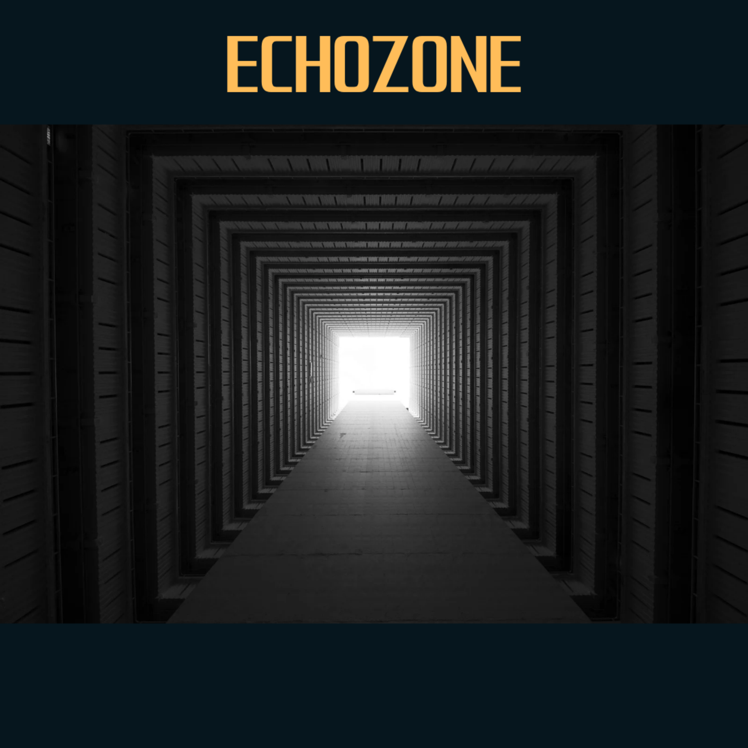 Echozone artwork