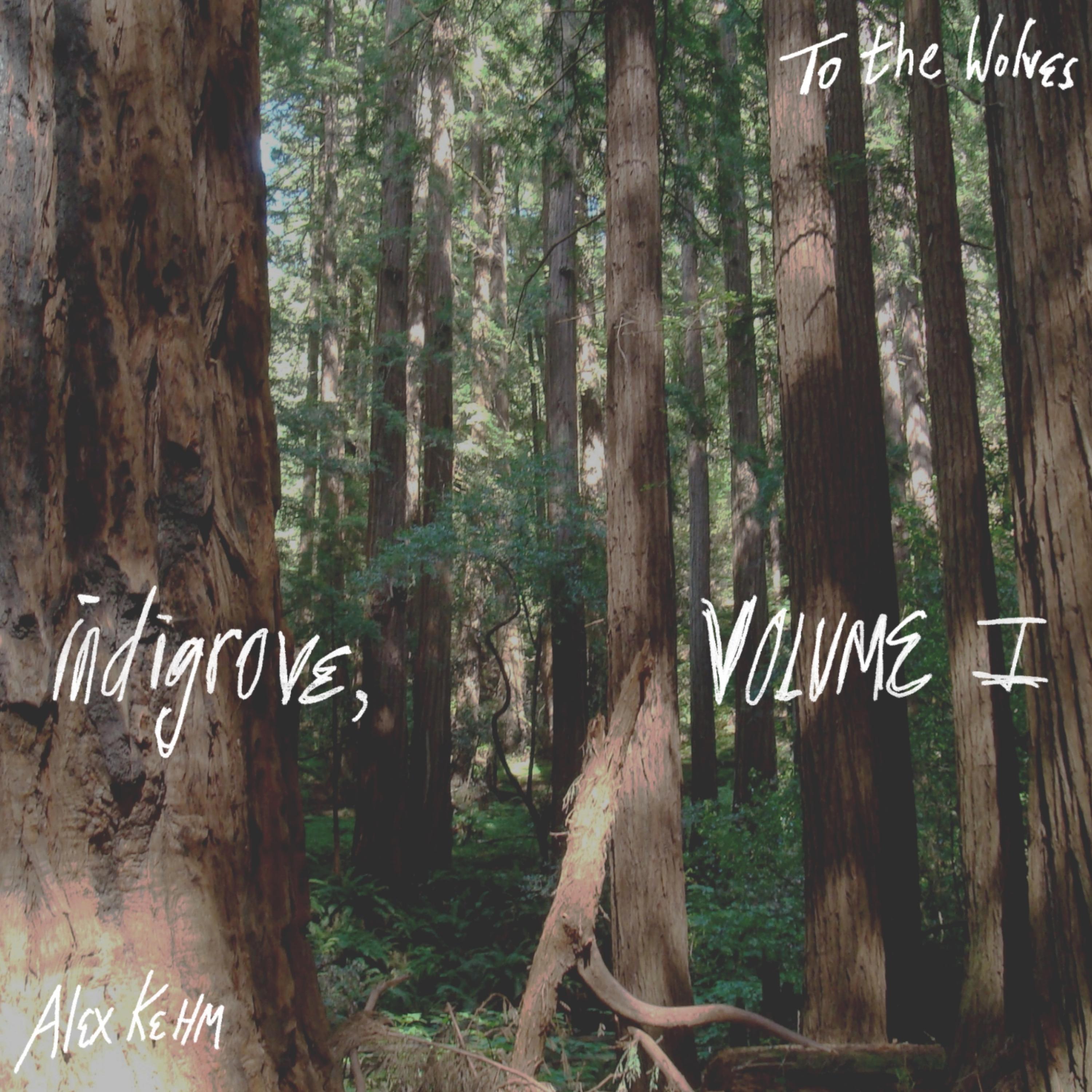 i. to the wolves artwork