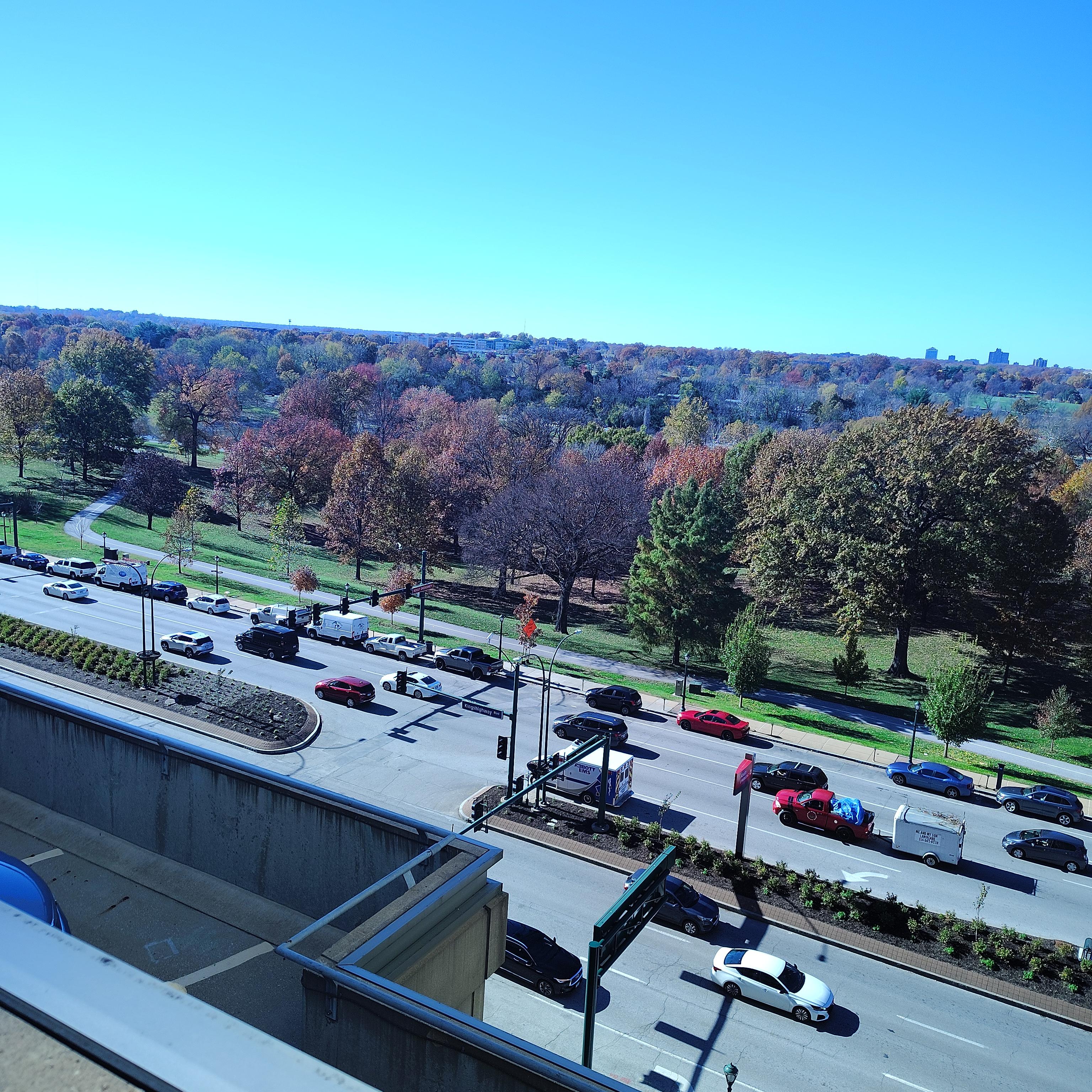 Trump wins again artwork