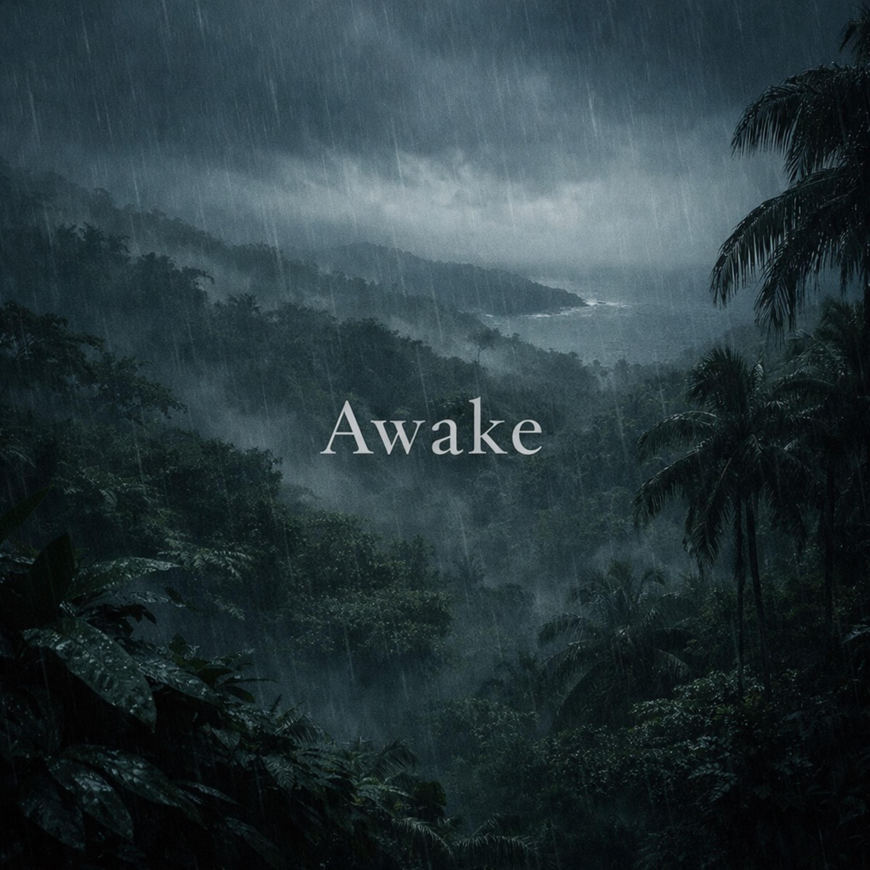 Awake artwork