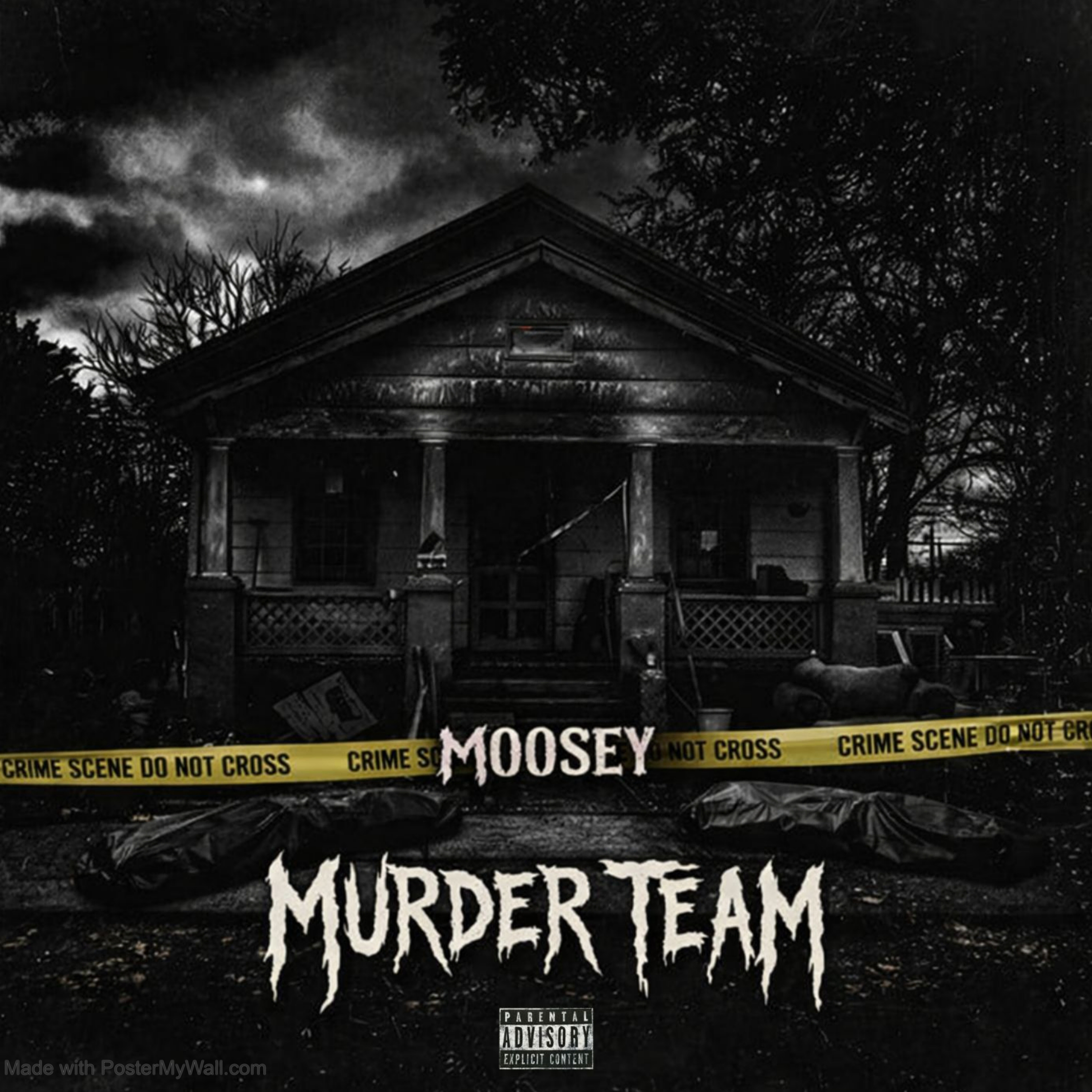 MURDER TEAM artwork