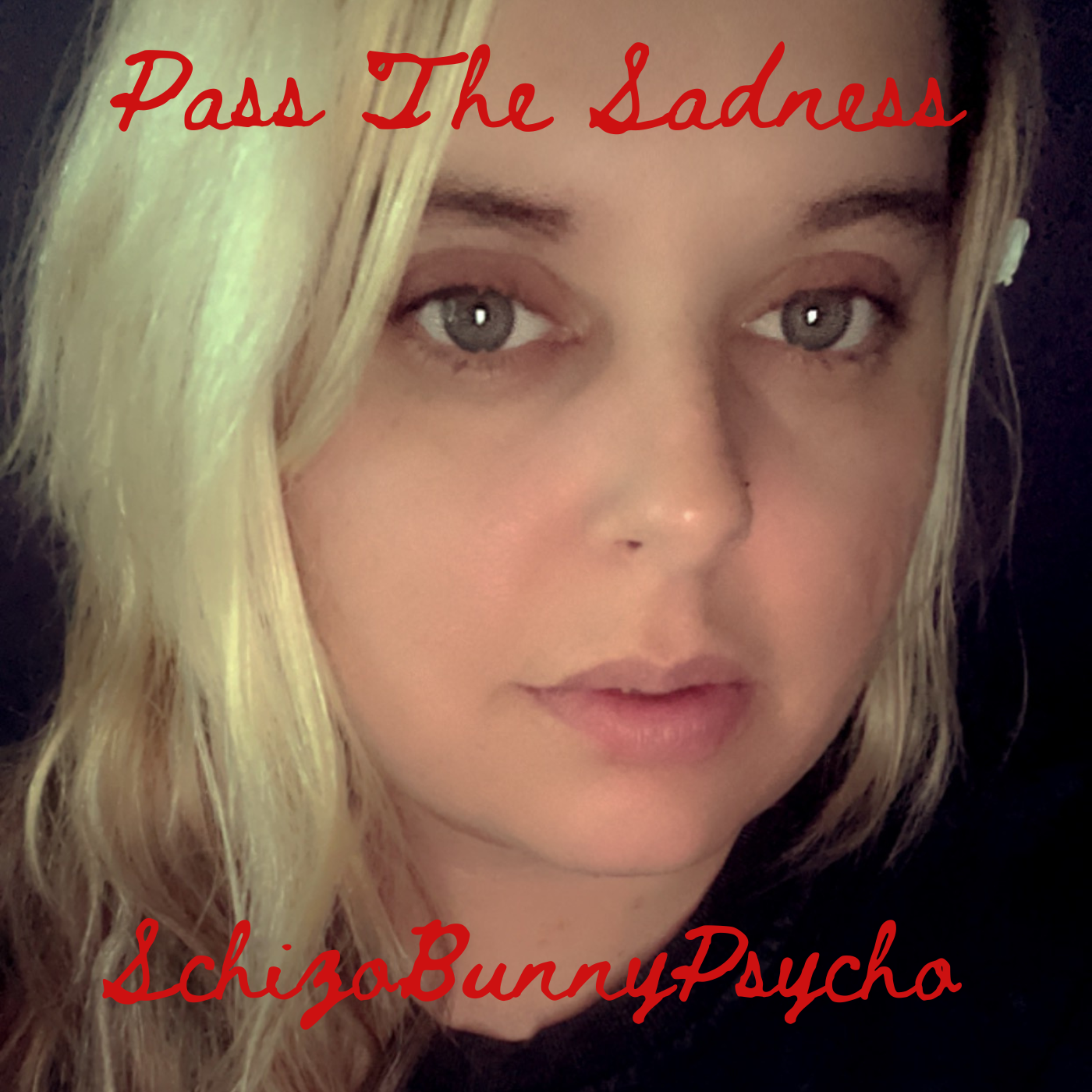 Pass The Sadness artwork