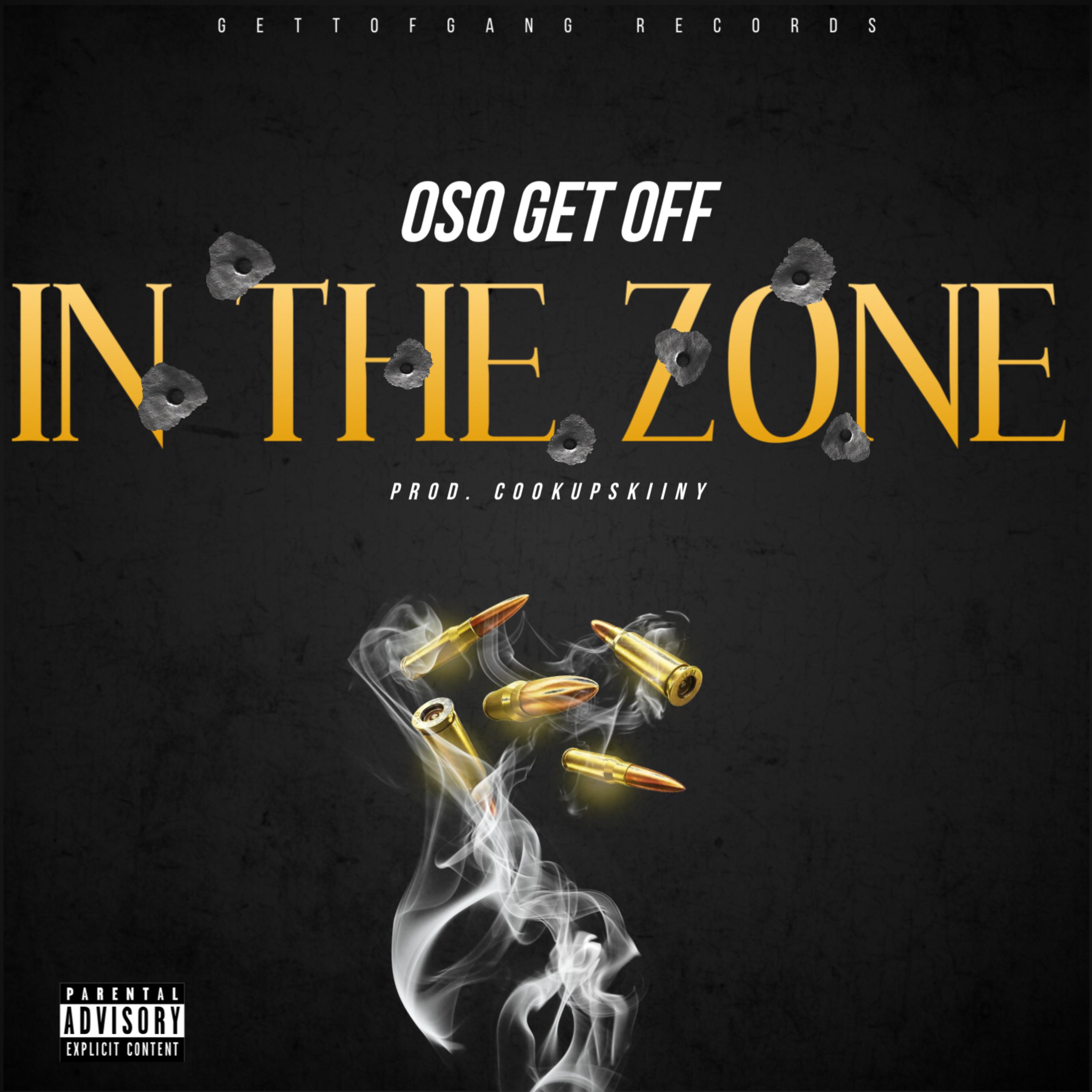In The Zone artwork