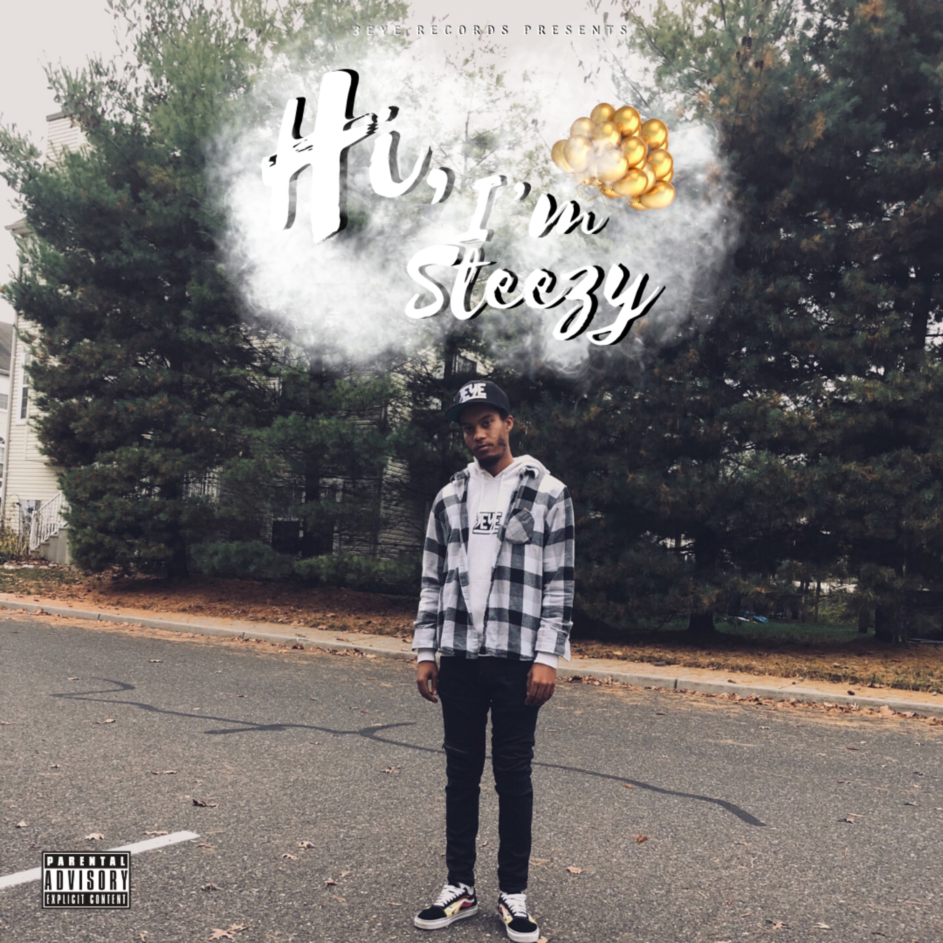 Hi, I'm Steezy artwork