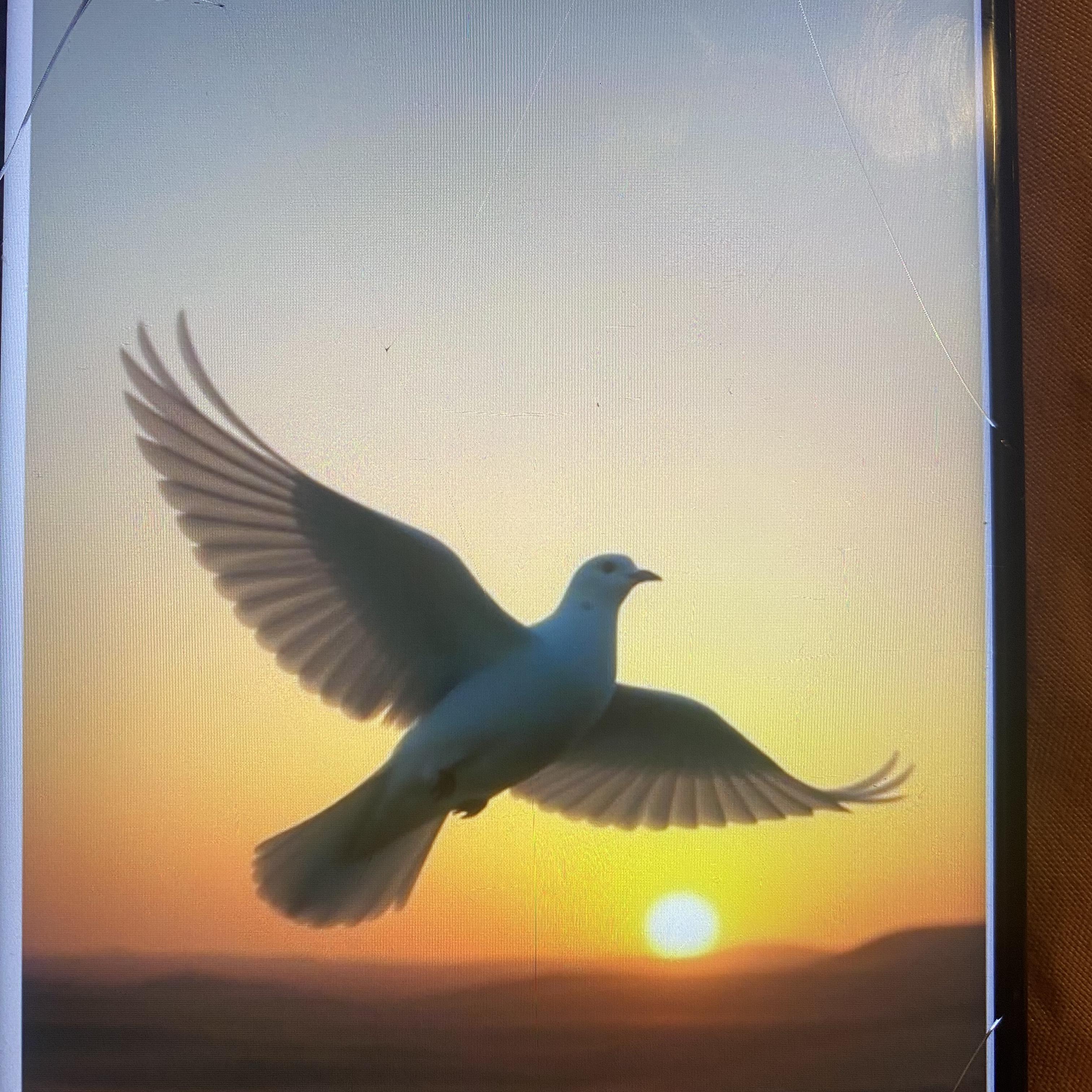 At Dawn artwork