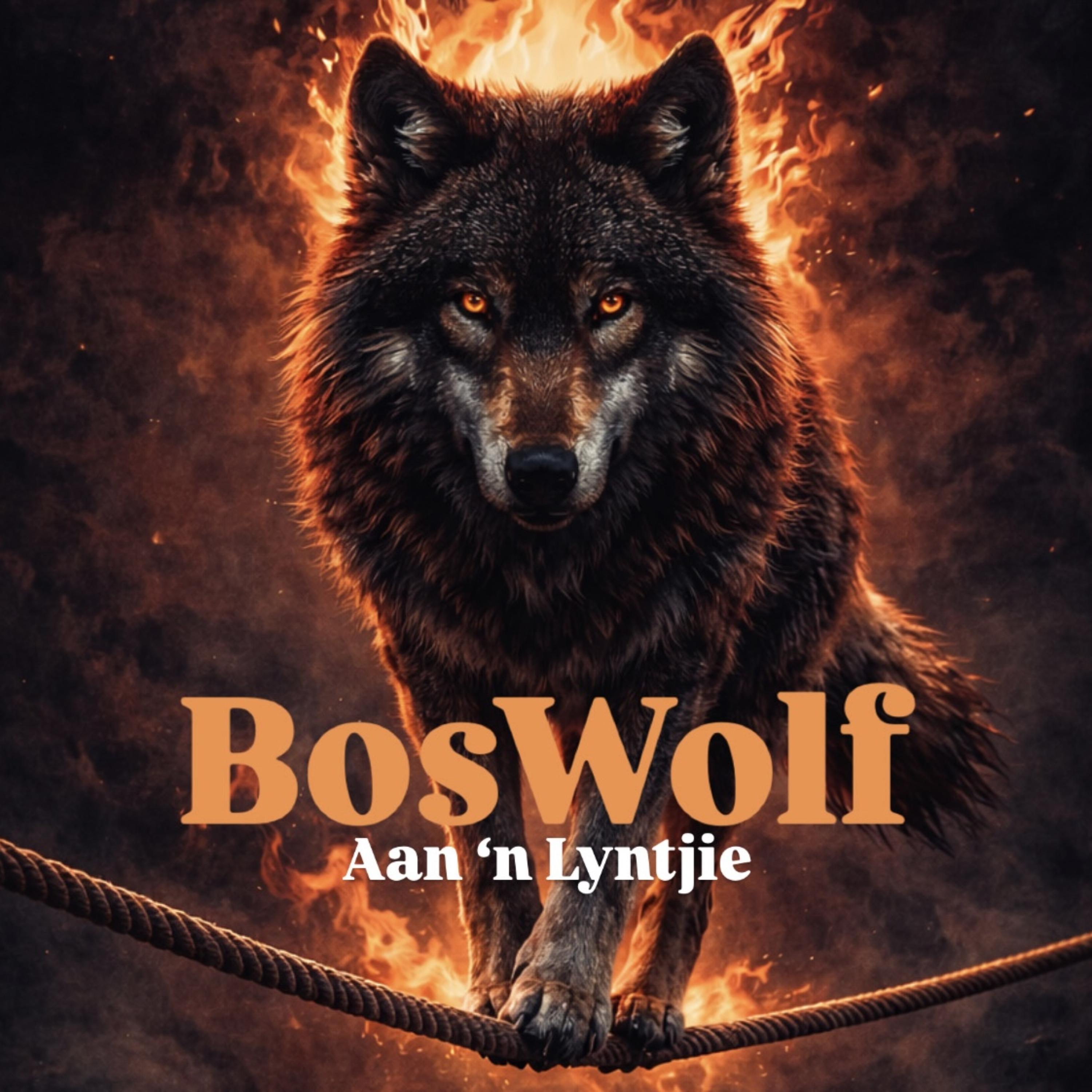 Aan ‘n Lyntjie artwork