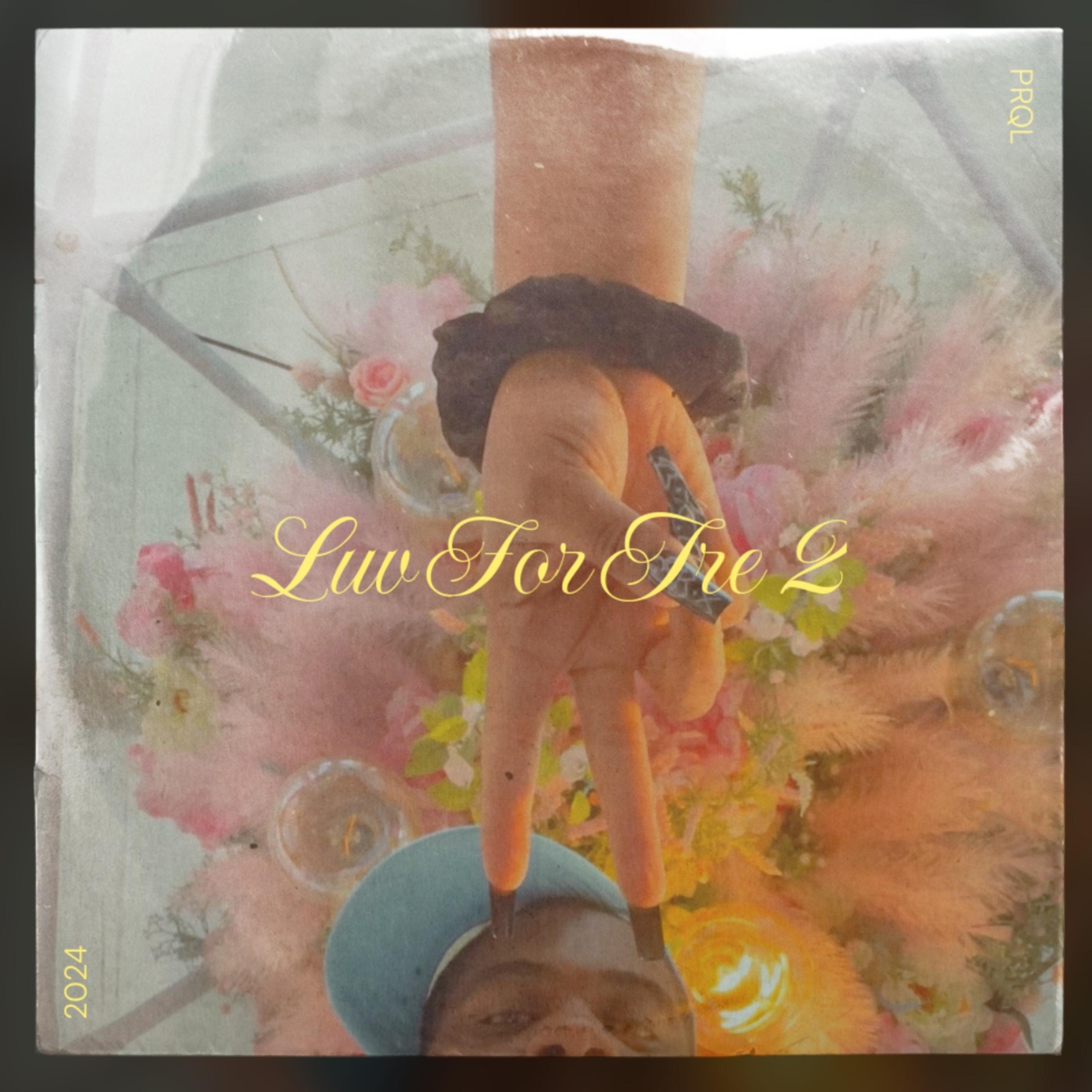 The Luv For Tre 2 artwork