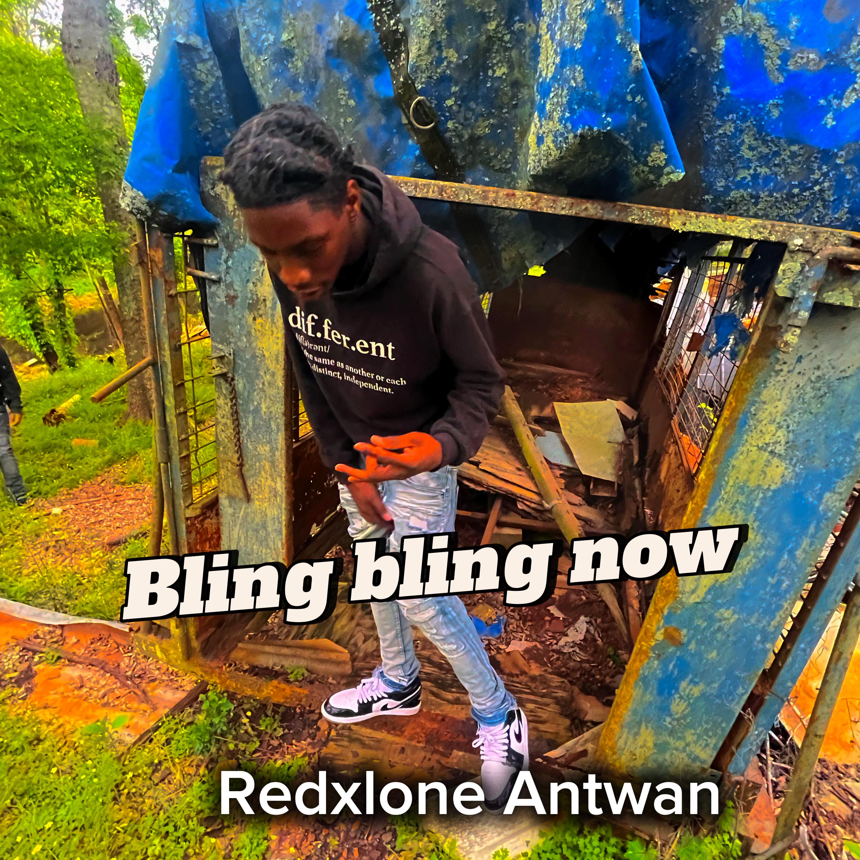 Bling Bling Bow by Redxlone Antwan cover art