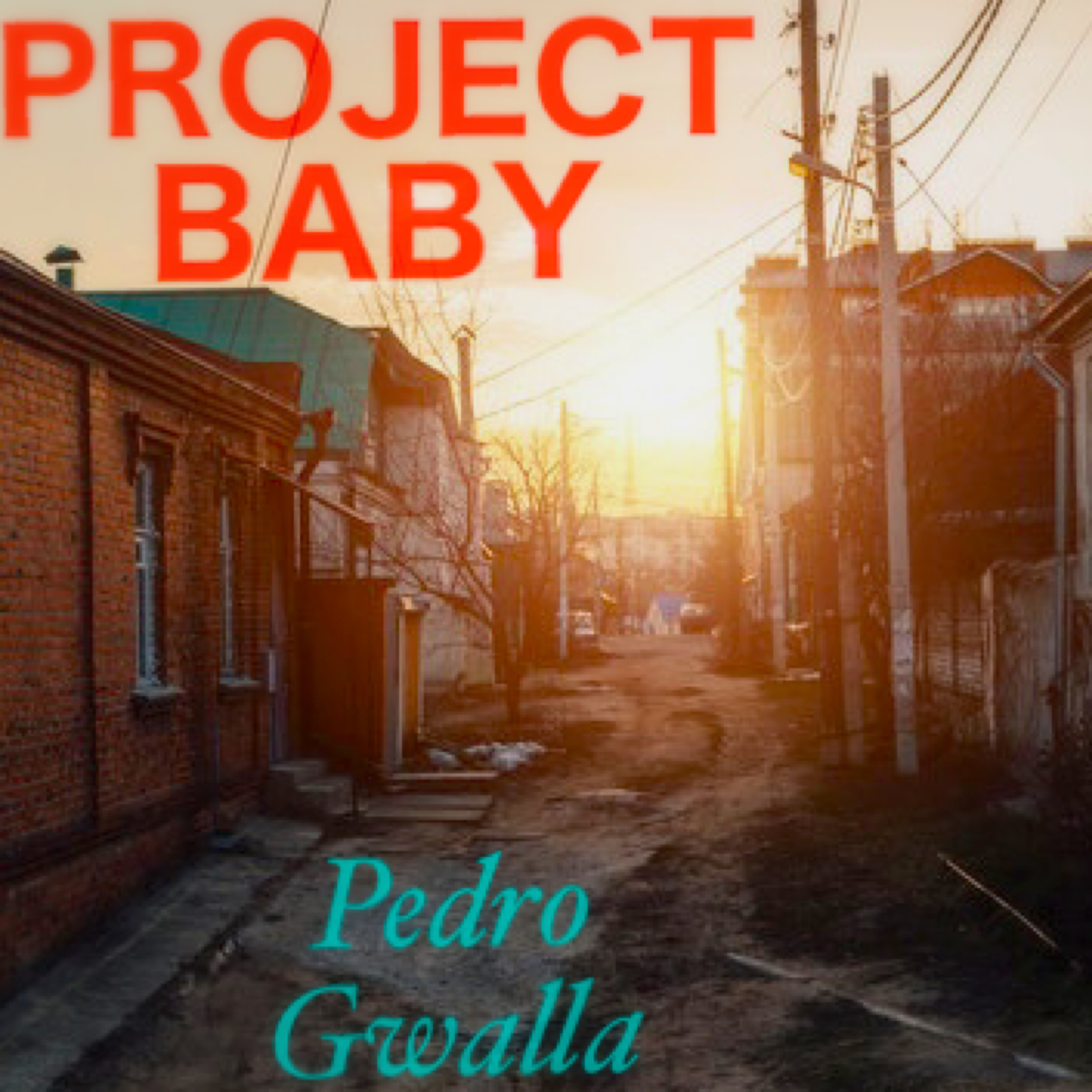 Project Baby artwork