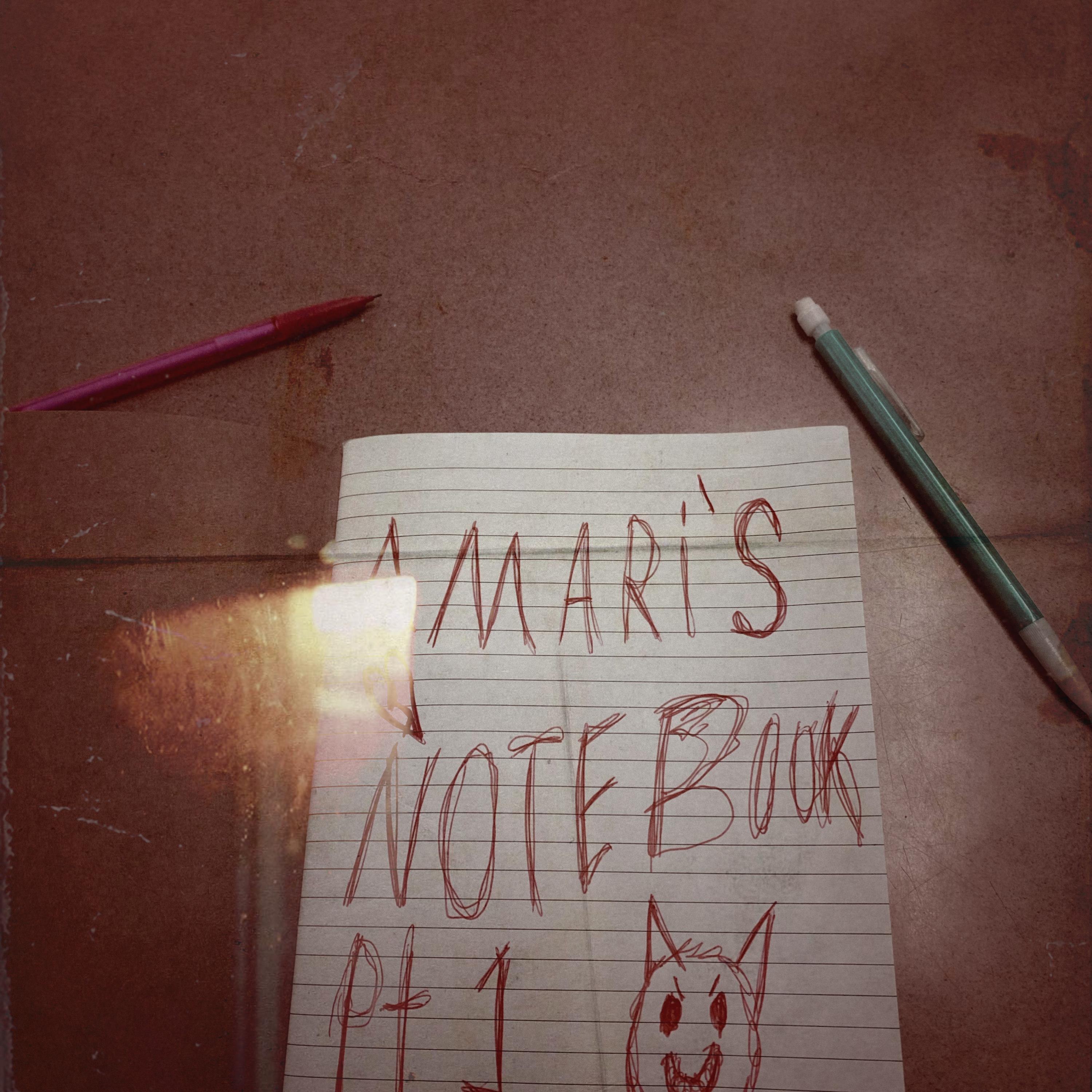 Mari"s Notebook artwork