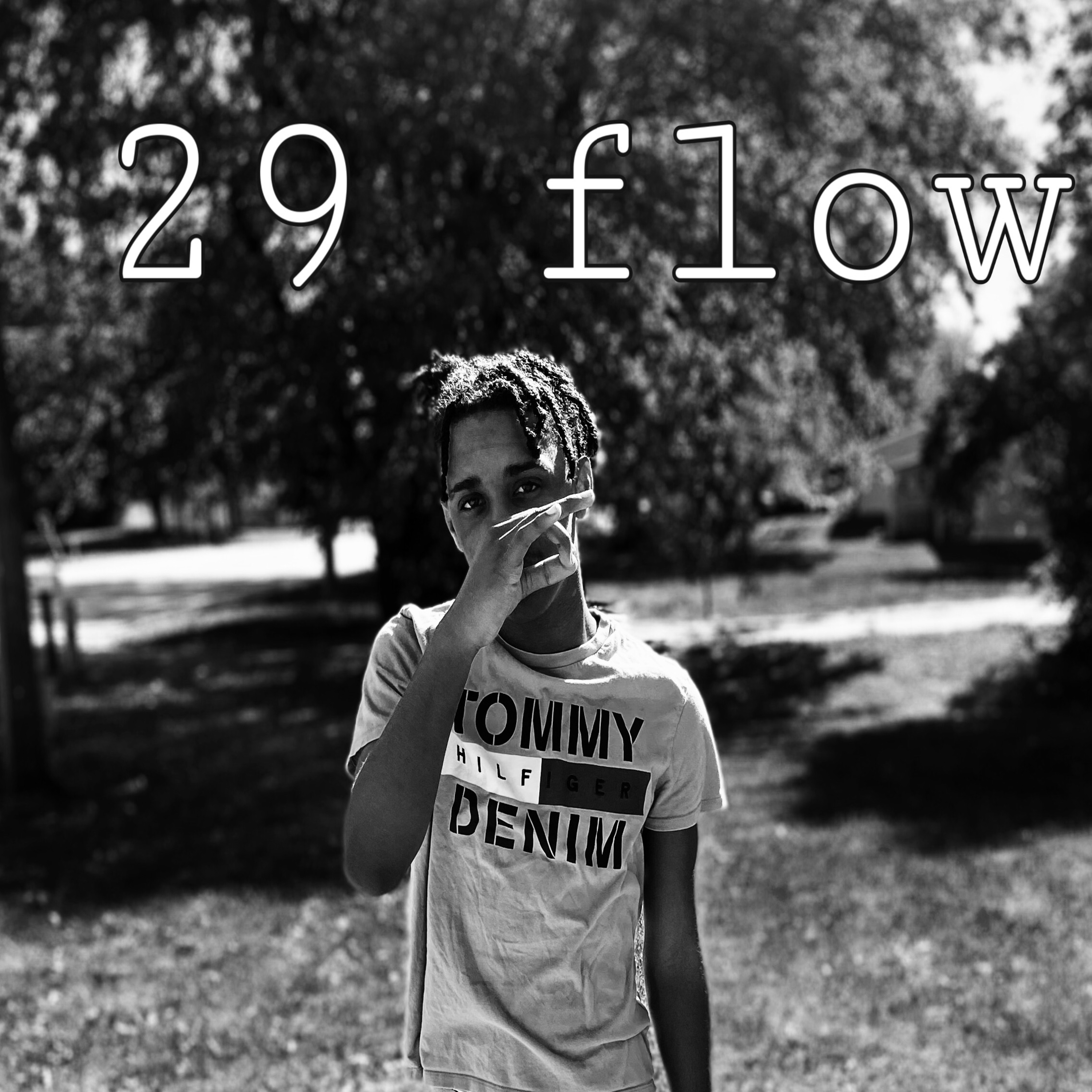 29 Flow artwork