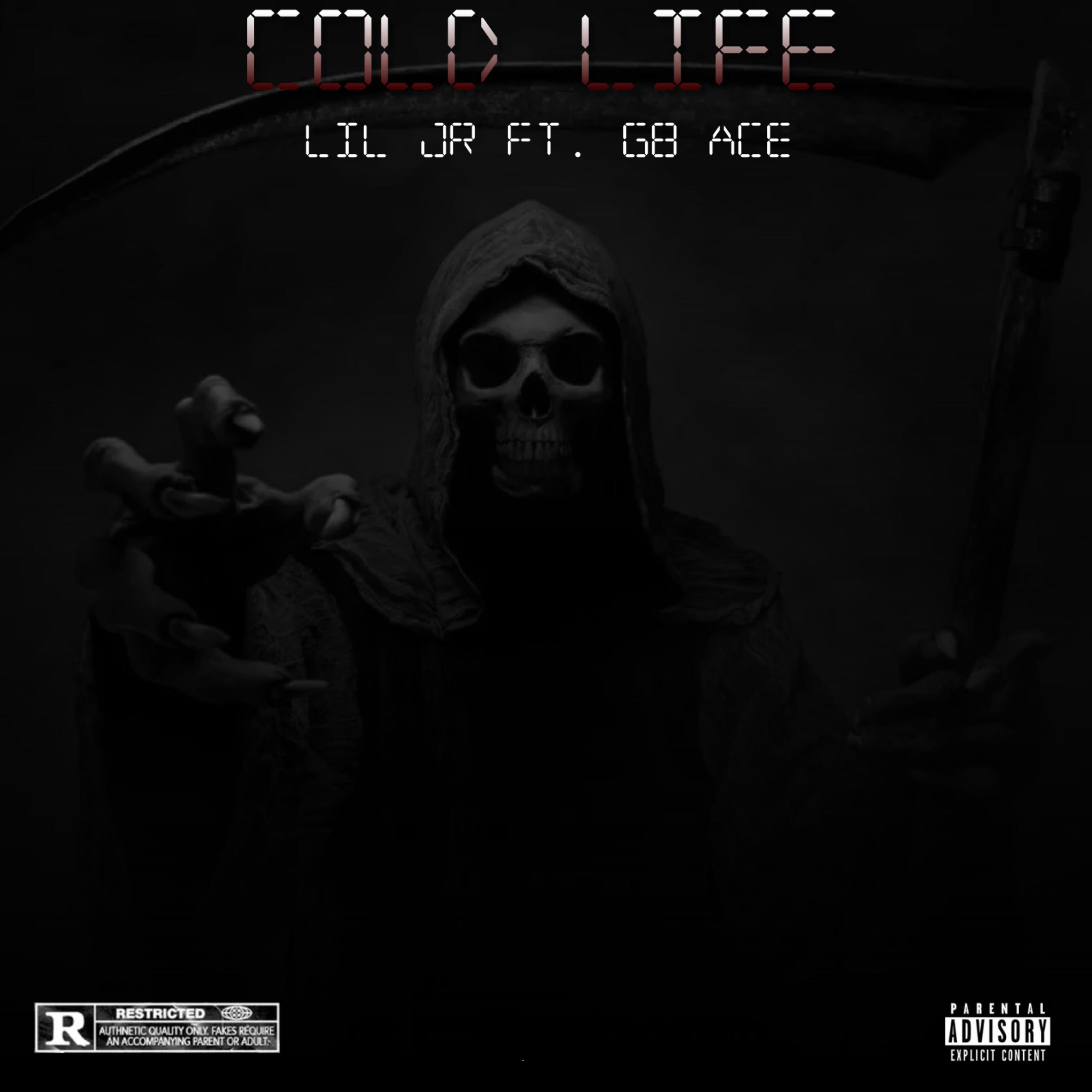 Cold Life artwork