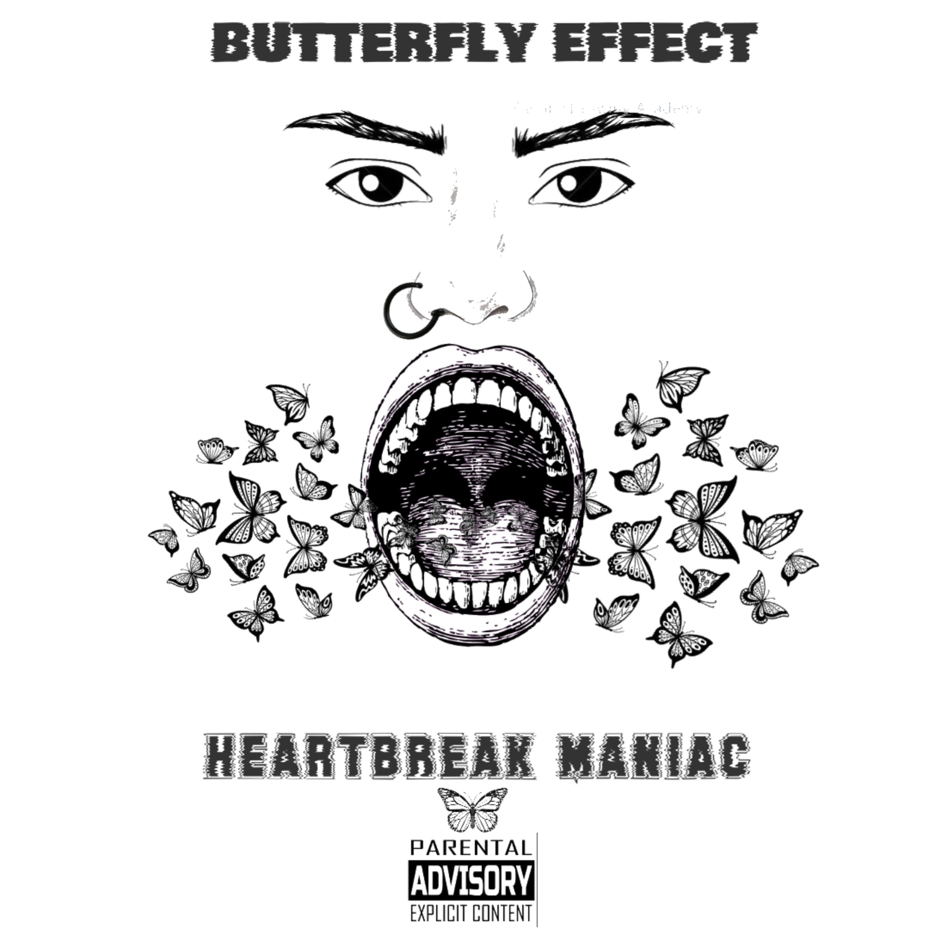 BUTTERFLY EFFECT artwork