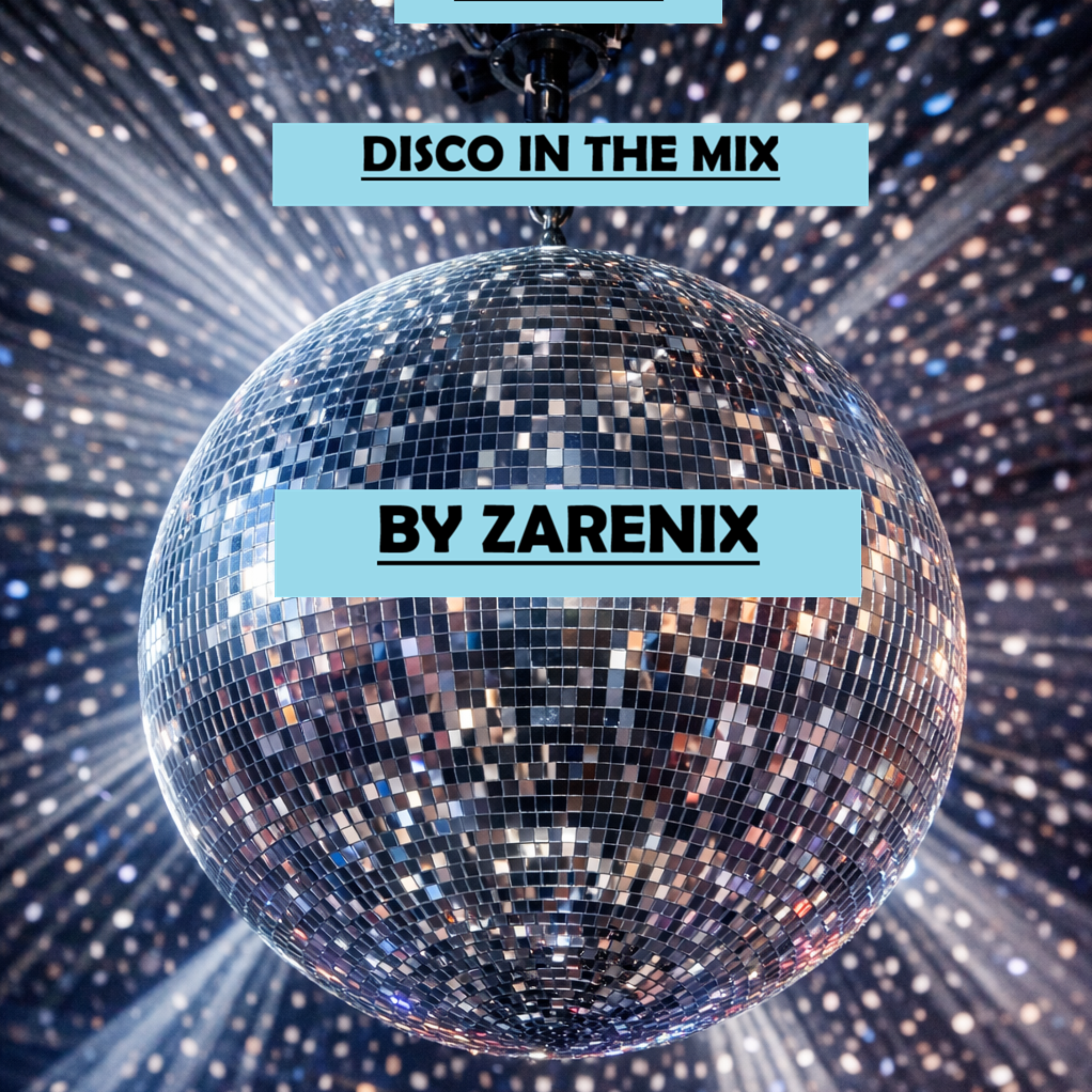The Disco In The Mix artwork