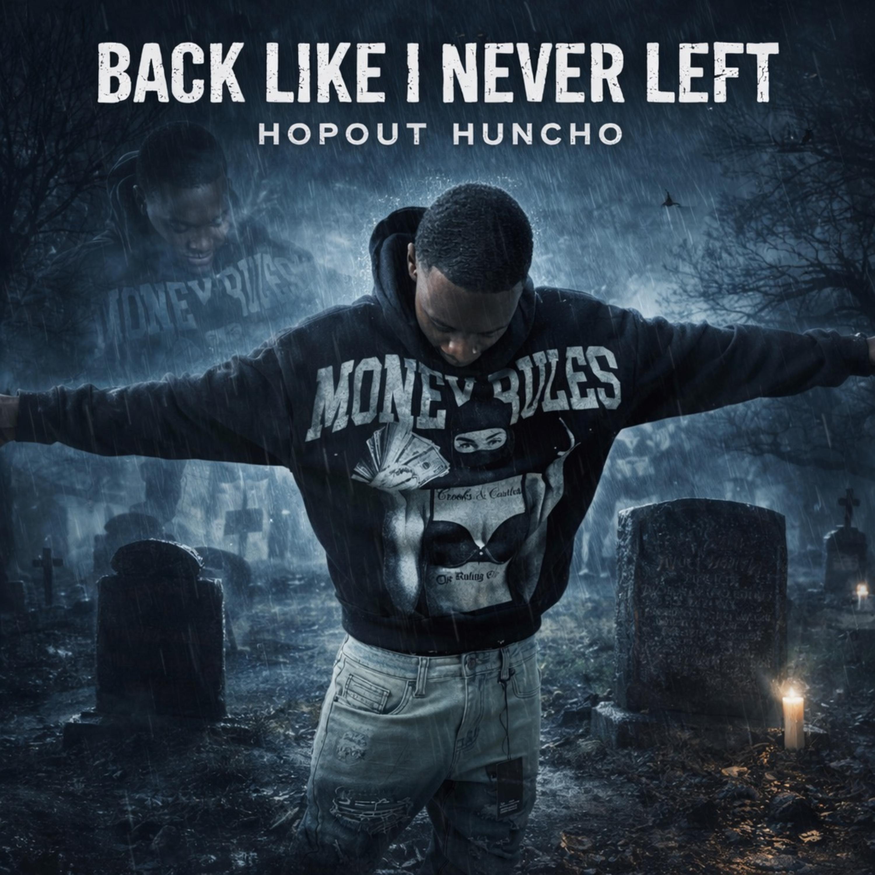 Back Like I Never Left artwork