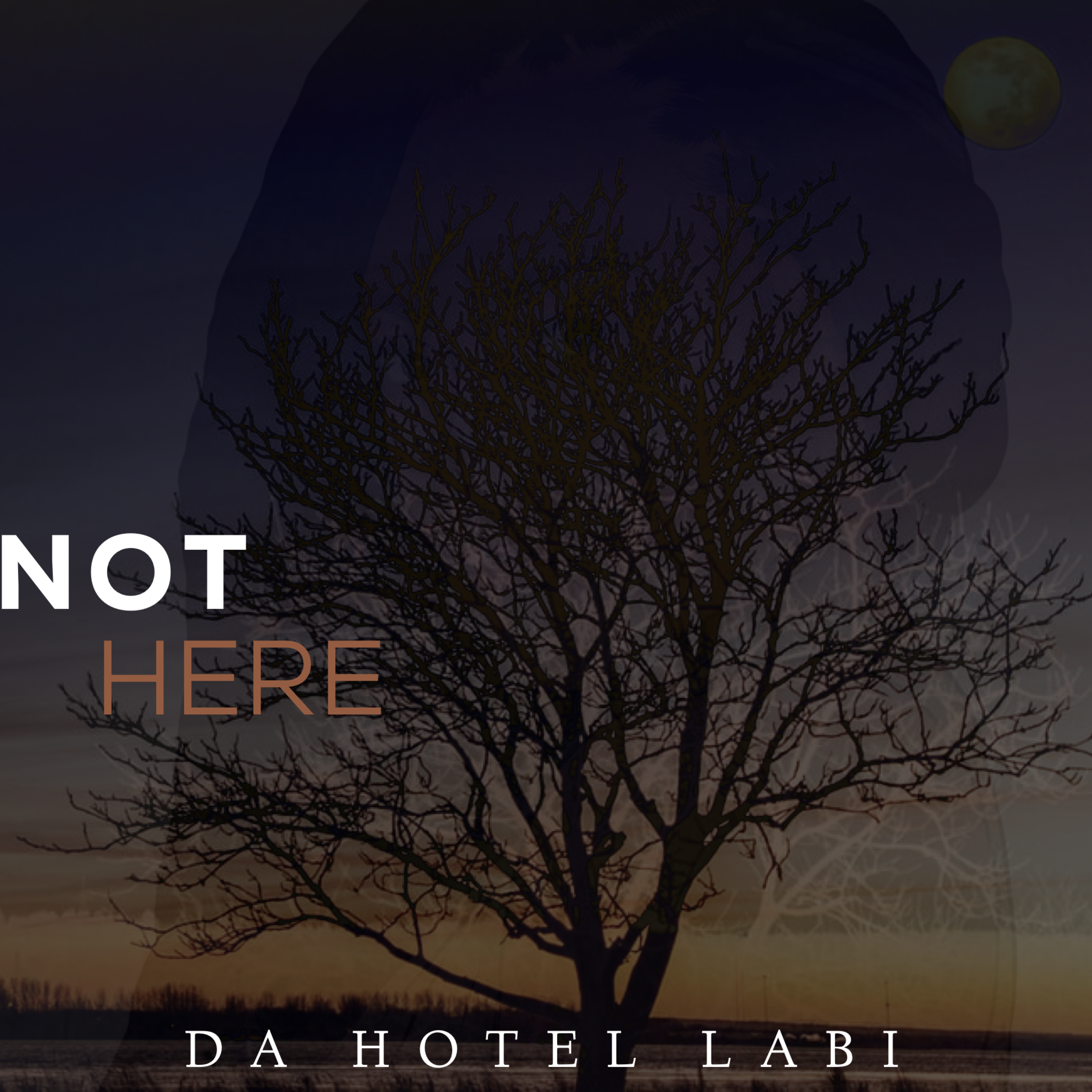 Not Here artwork