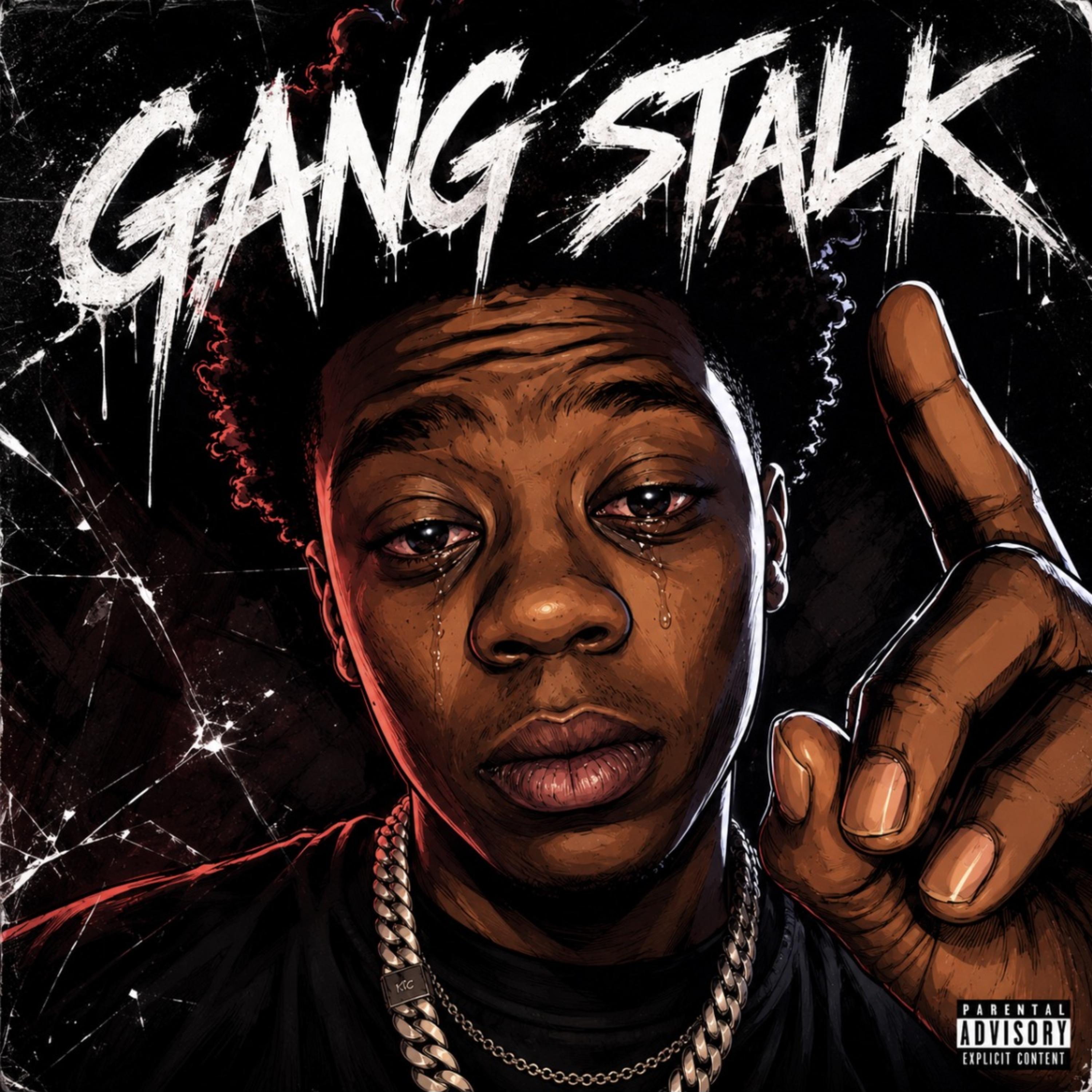 Gang Stalk by Drmerch cover art