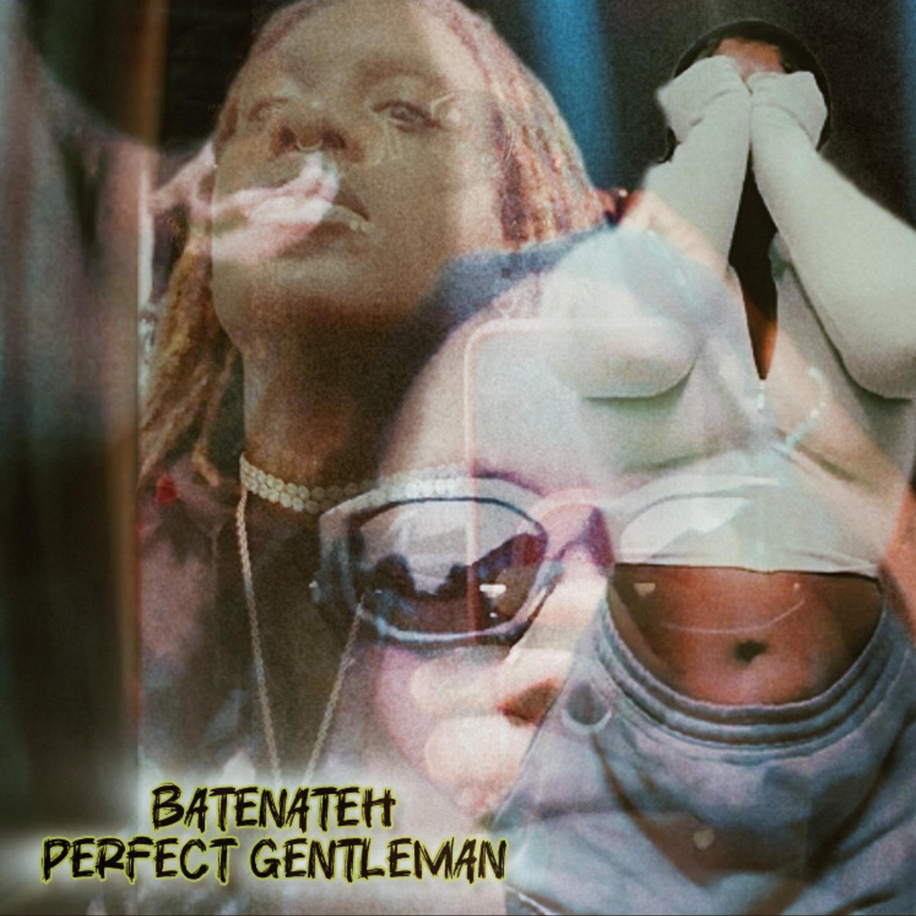 Perfect Gentleman artwork