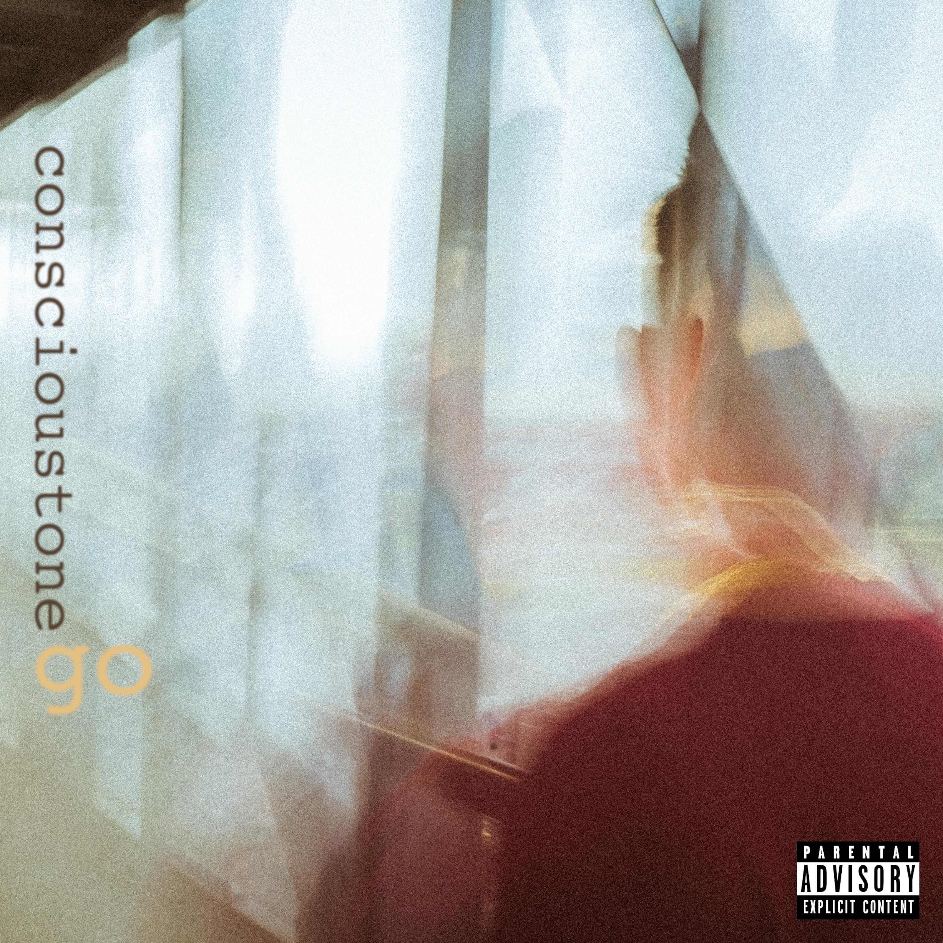 Go artwork