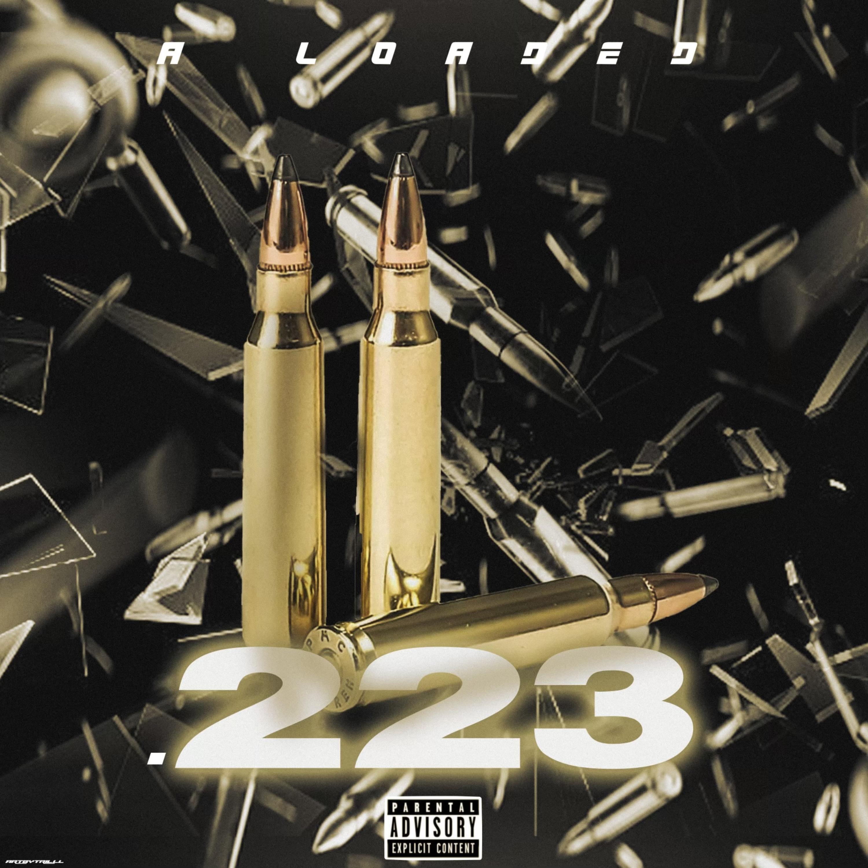 .223 artwork