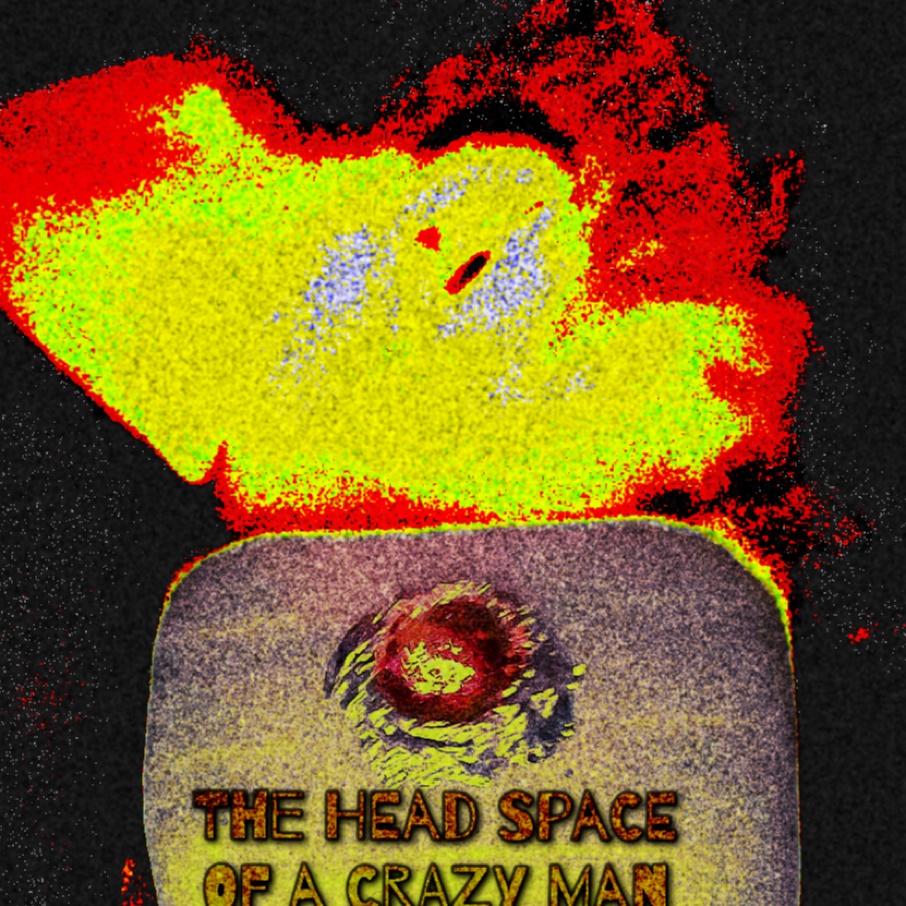 The Headspace Of A Crazy Man artwork