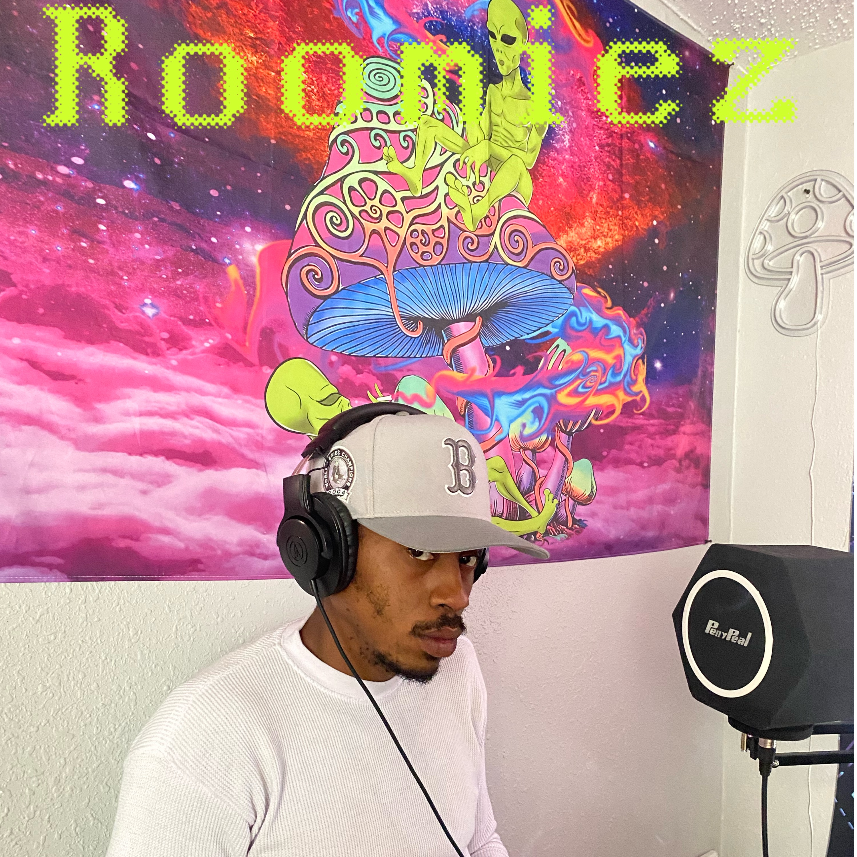 Roomiez artwork