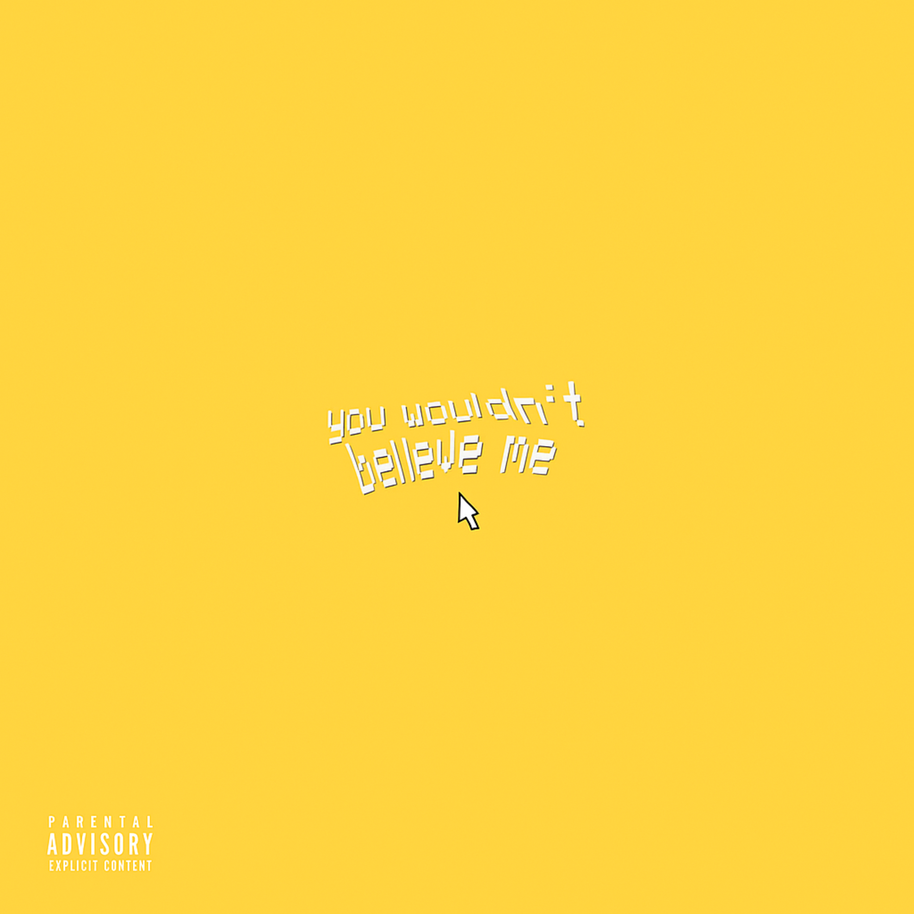 youwouldn'tbelieveme pt.1 artwork