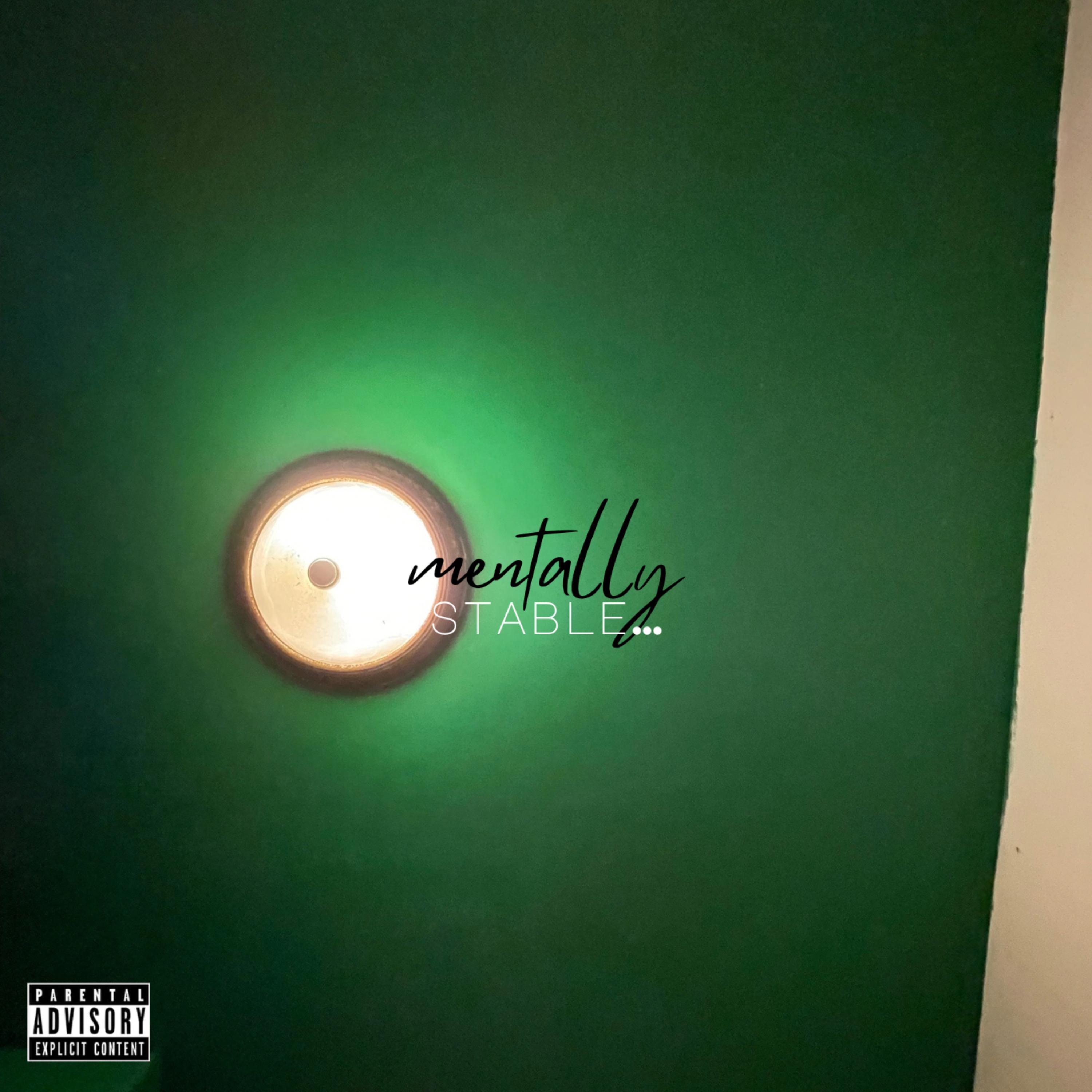 mentally stable… by Casualty! cover art