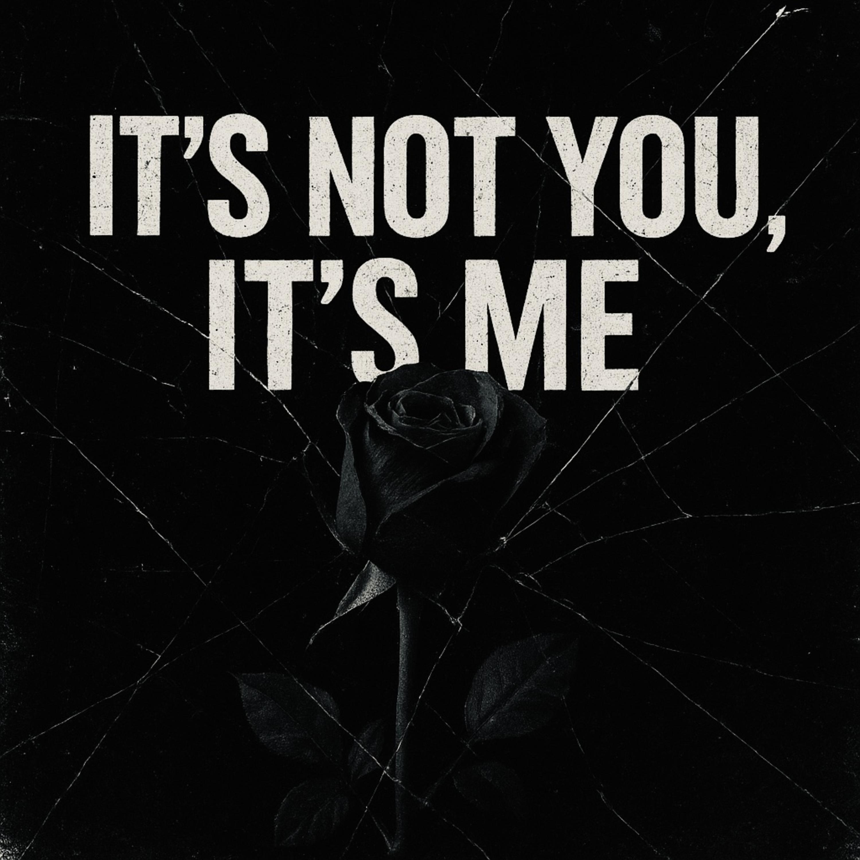 It’s Not You, It’s Me artwork