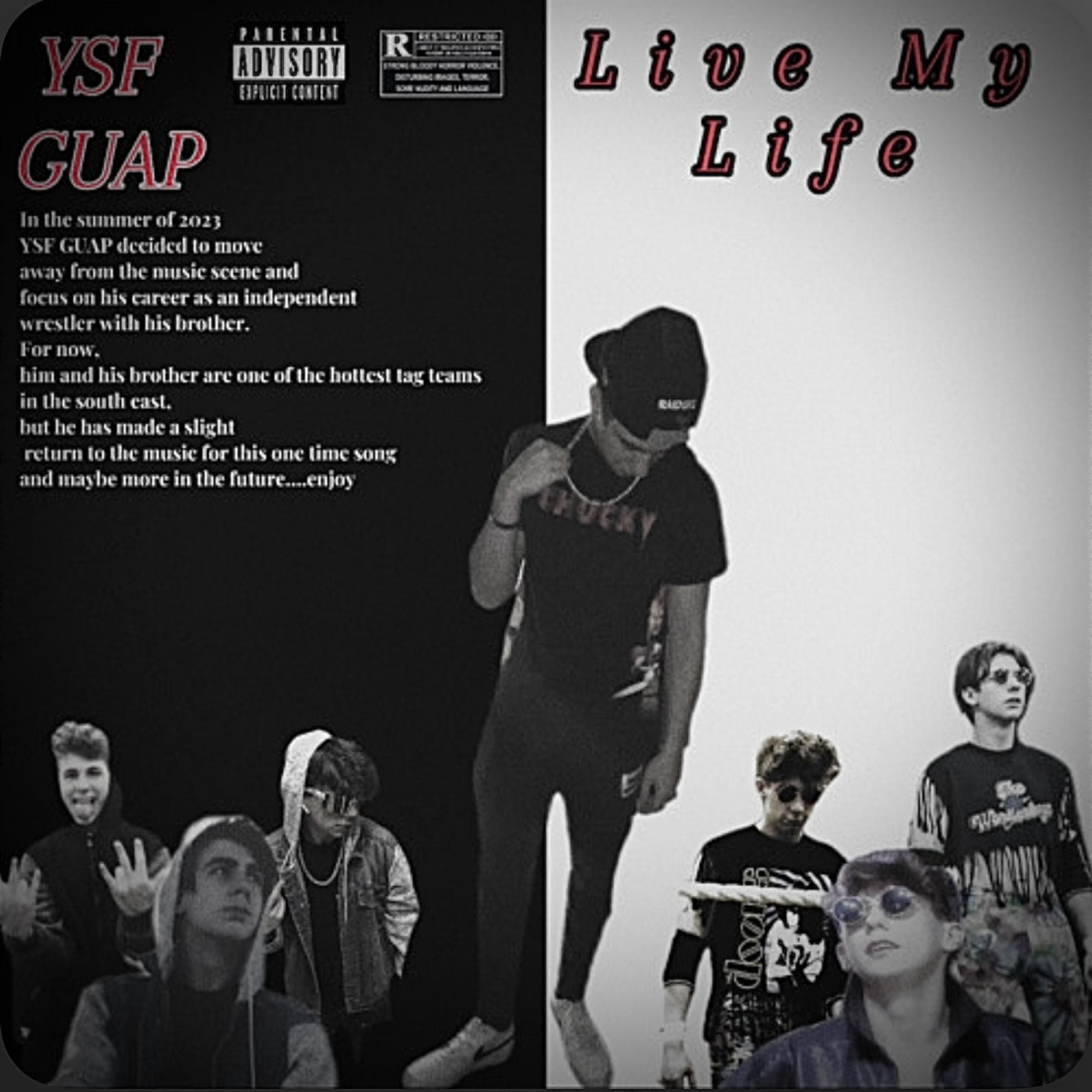 Live My Life by YSF GUAP cover art