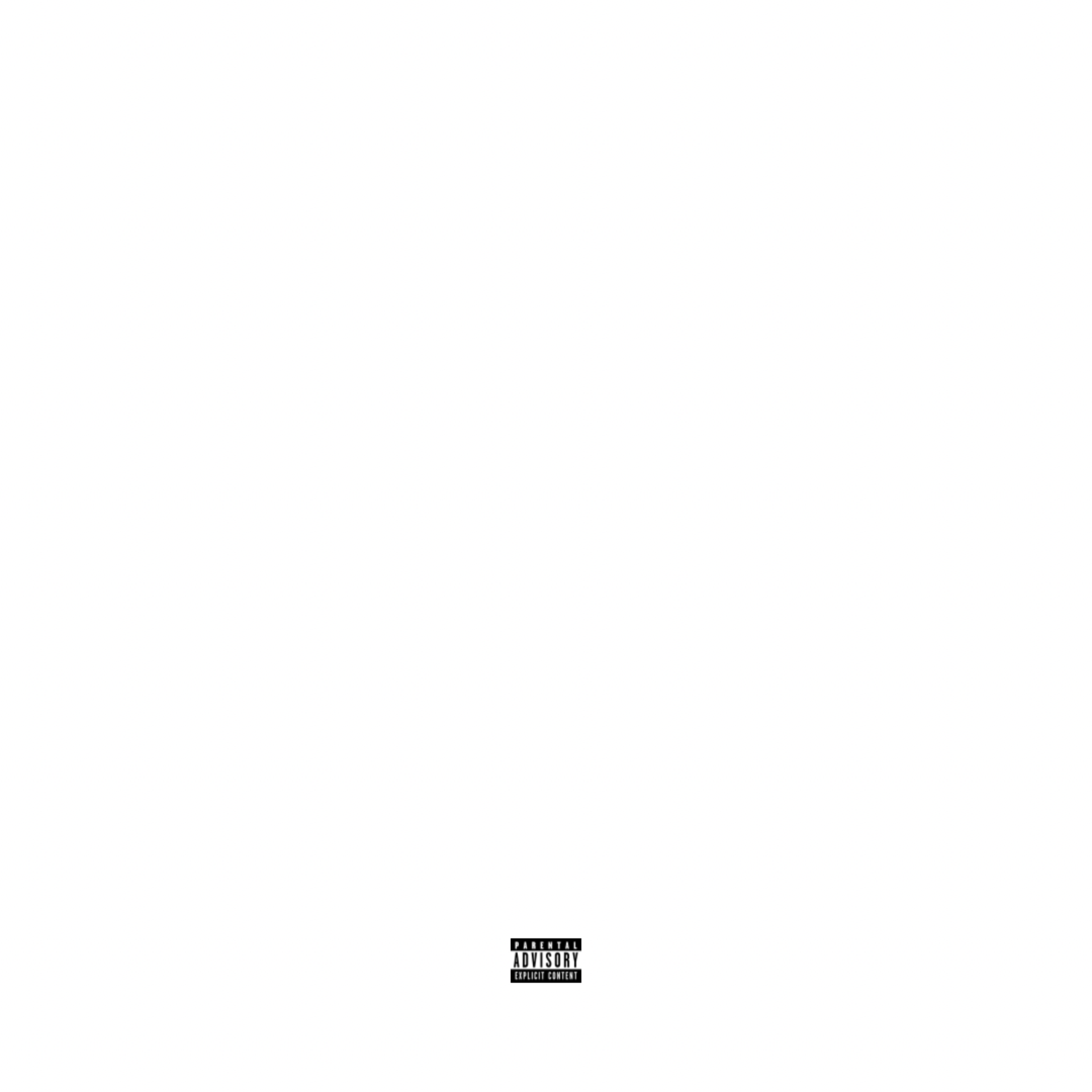 Carry U Niggas artwork