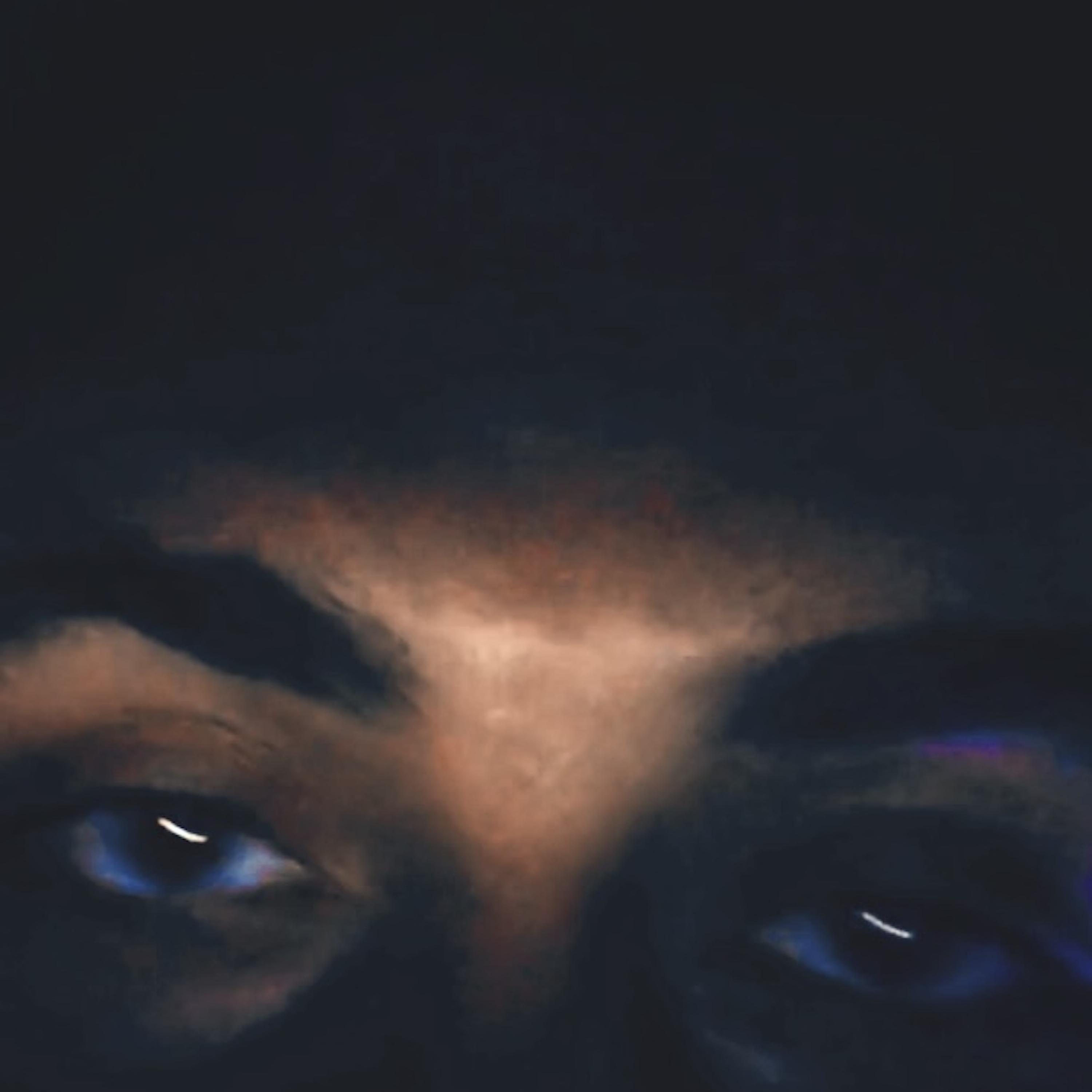Always Had The Vision artwork