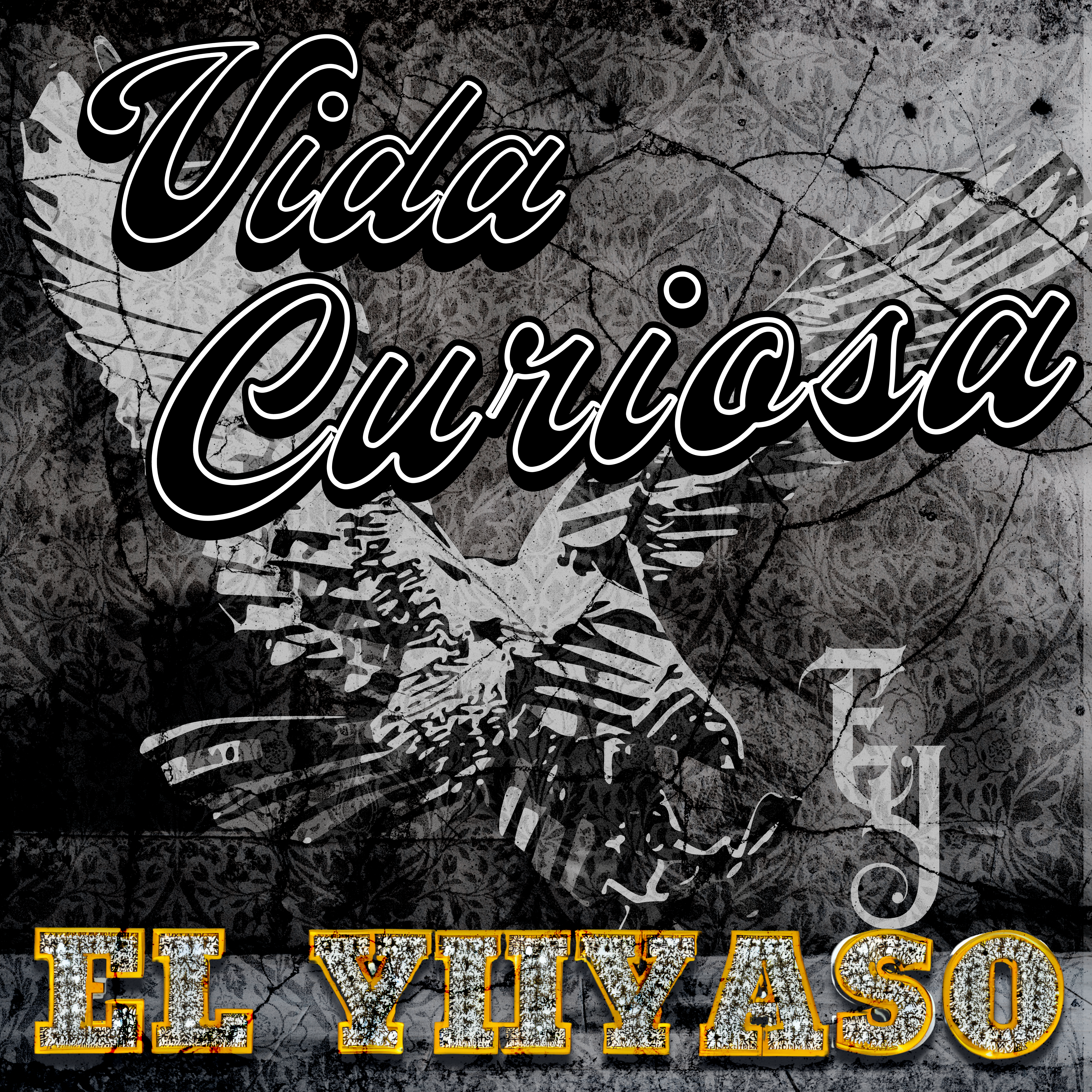Vida Curiosa  artwork