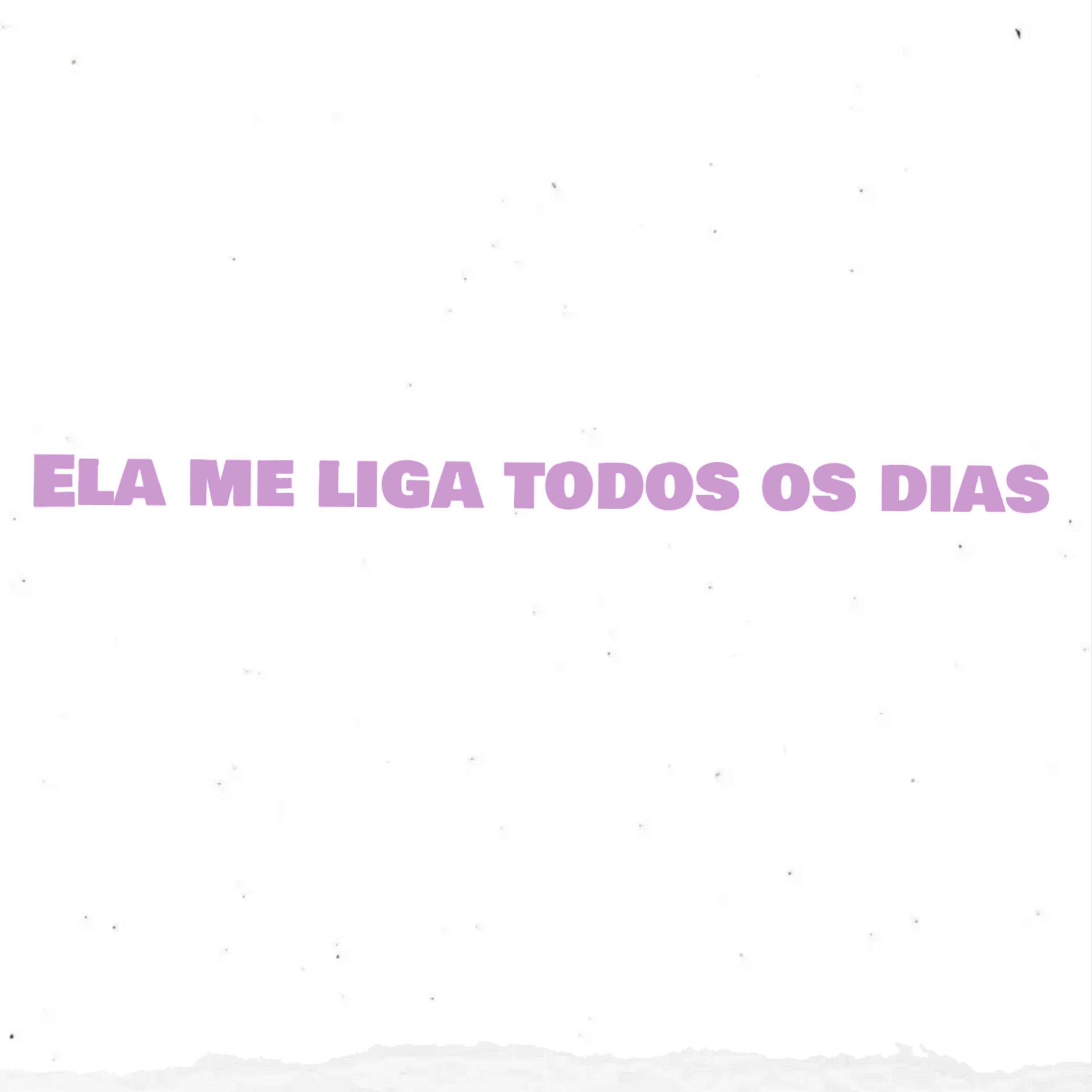 Ela me liga todos os dias artwork