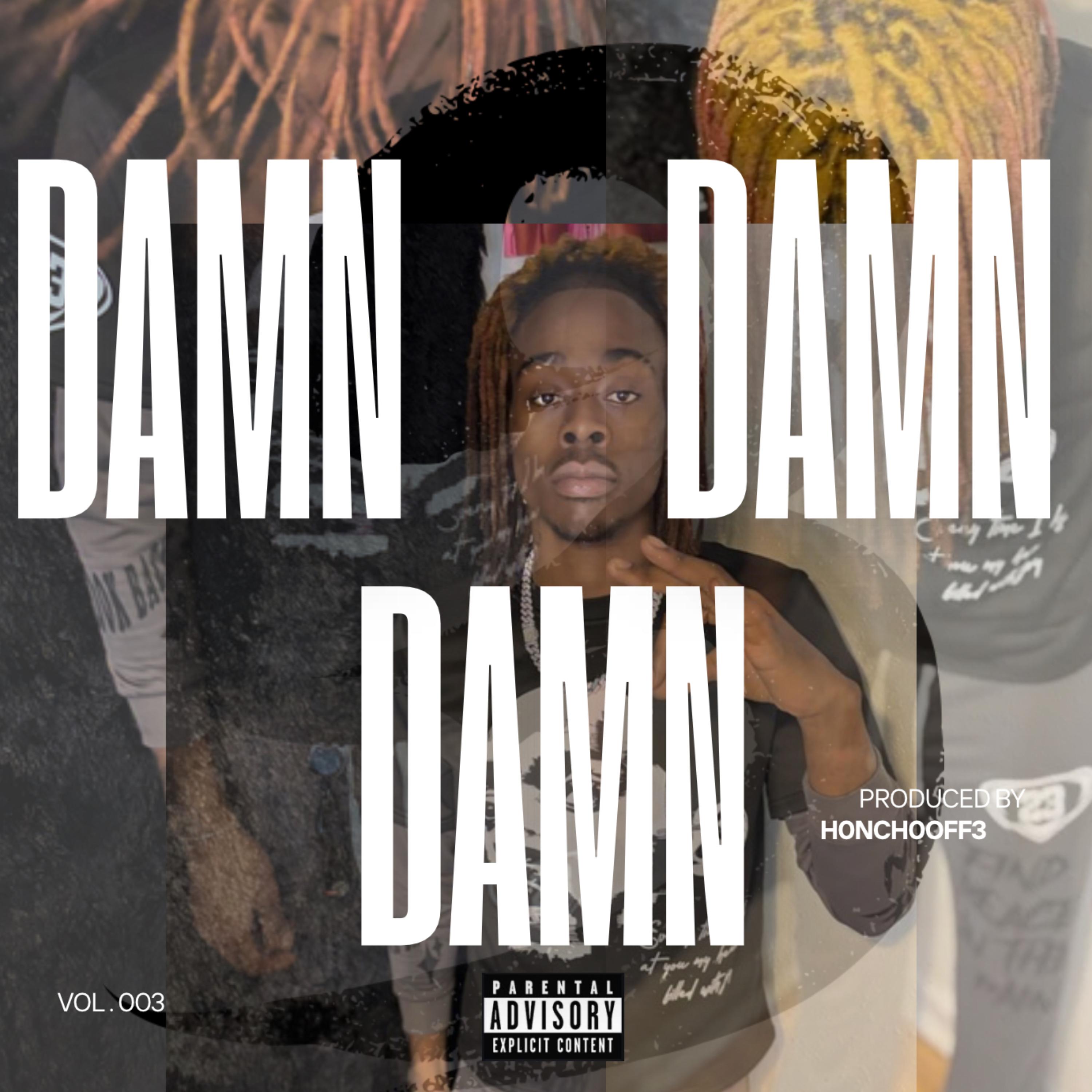 DAMN DAMN DAMN. artwork