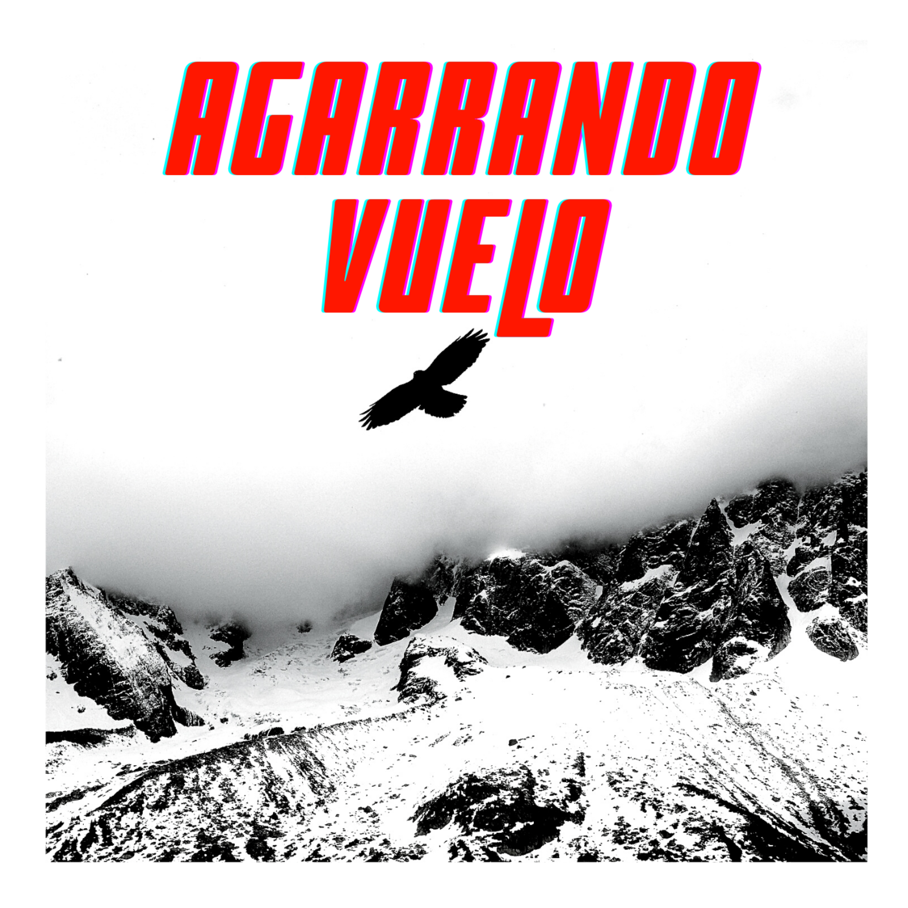 Agarrando Vuelo artwork