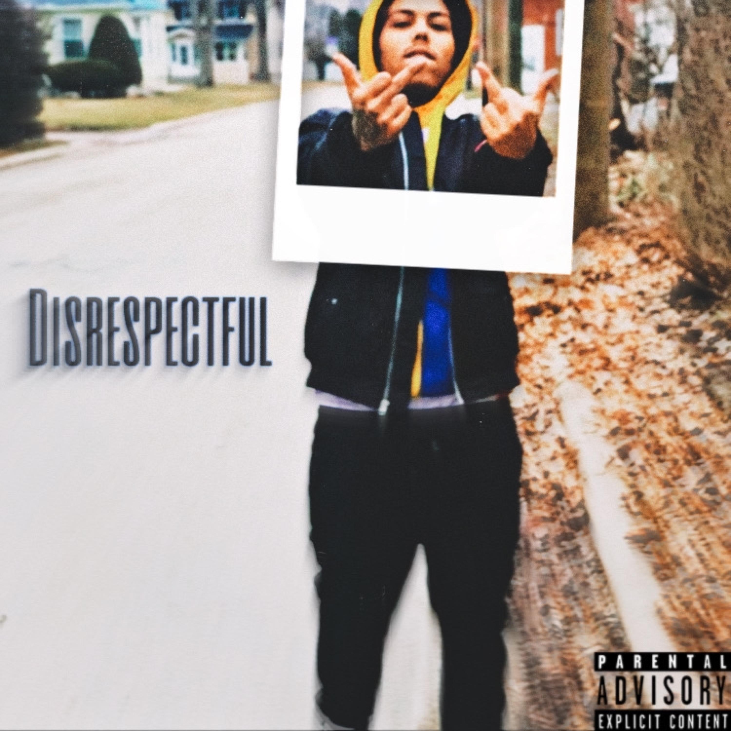 Disrespectful artwork