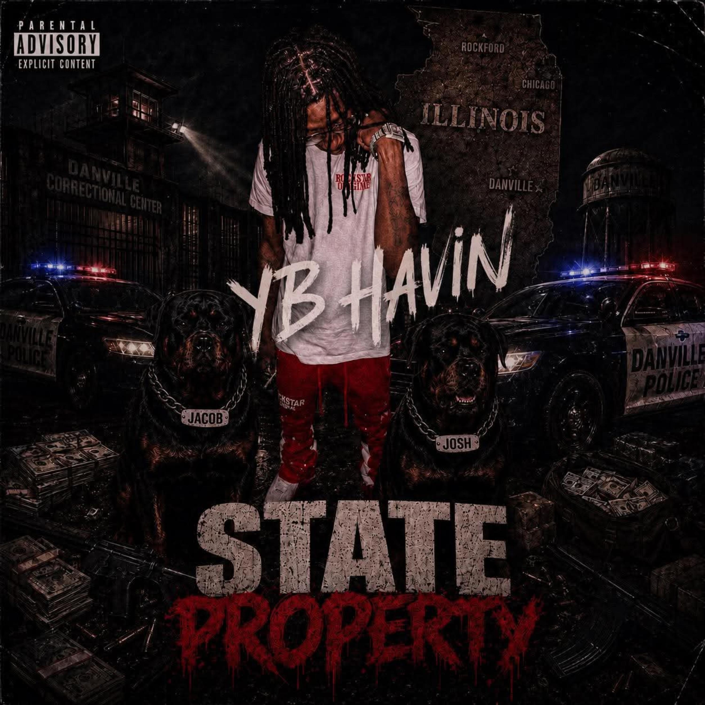 State Property by YB HAVIN cover art