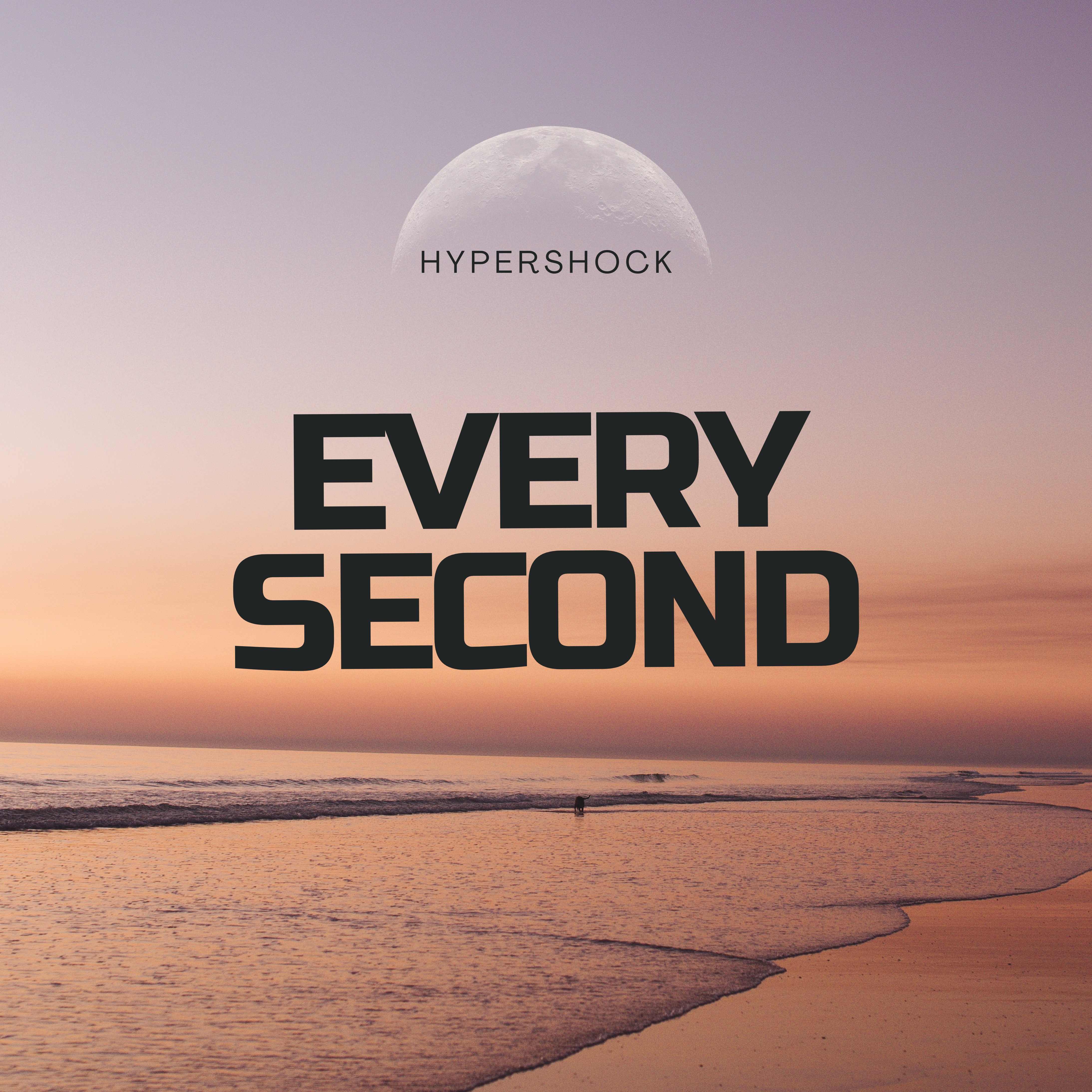 Every Second artwork