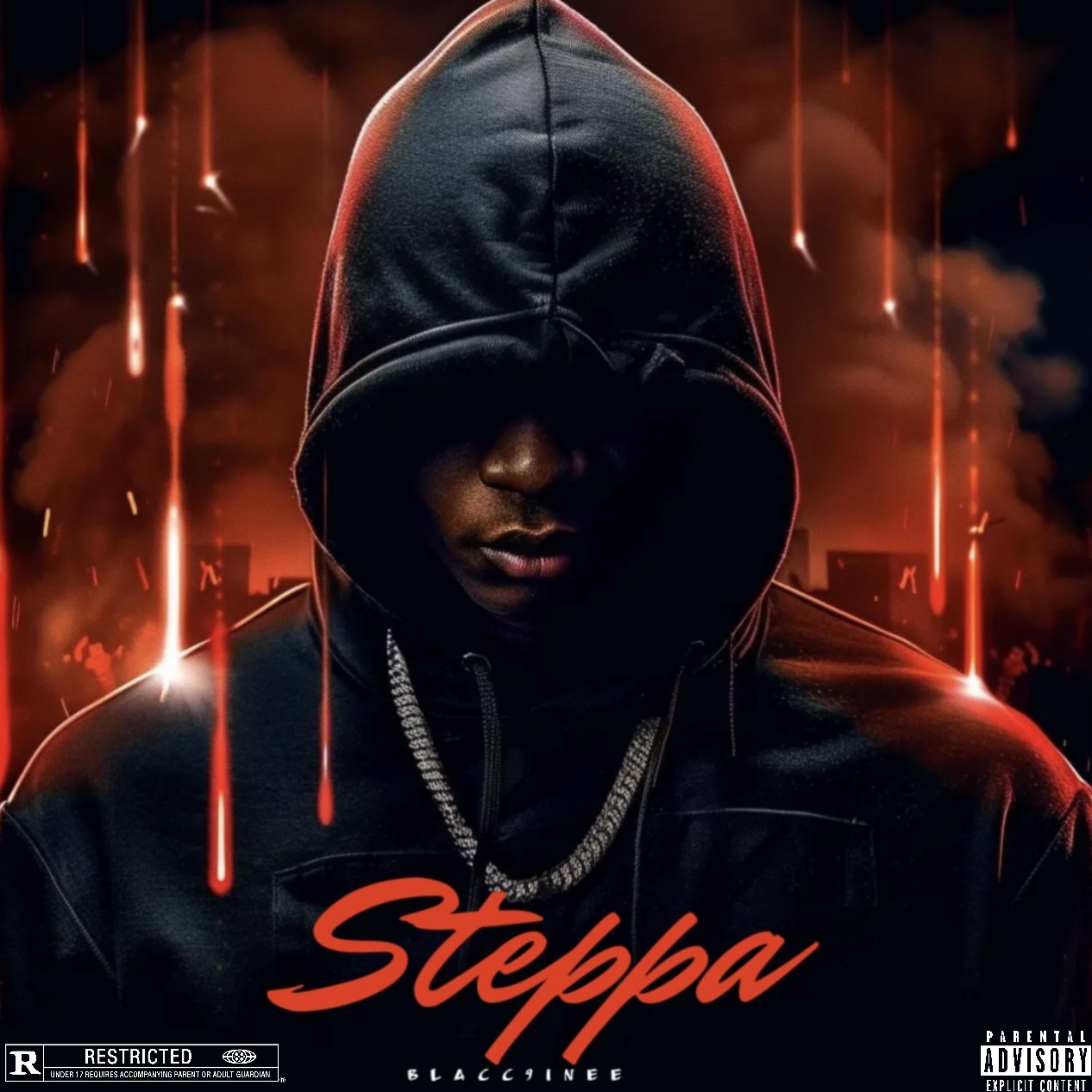Steppa artwork