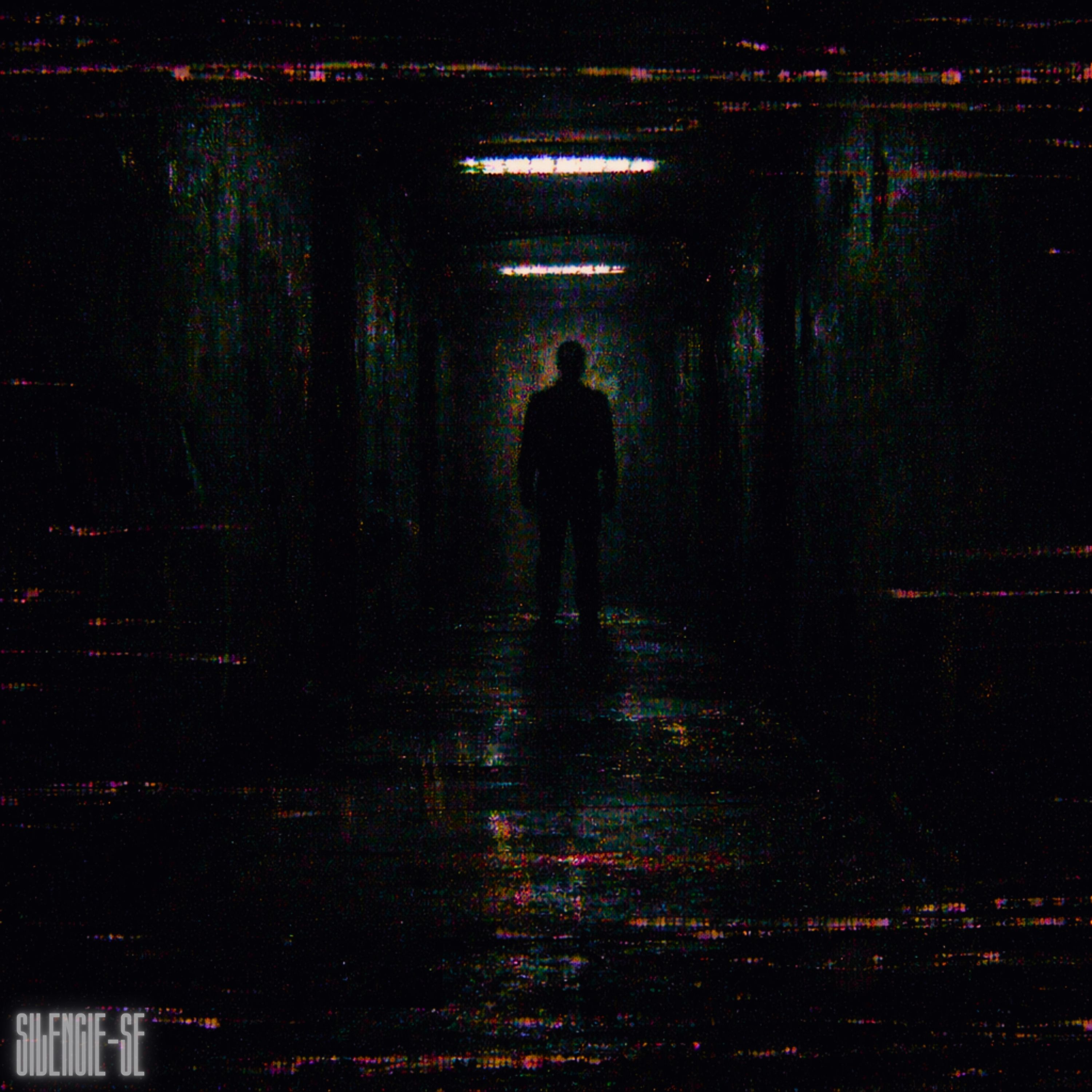 silencie-se artwork
